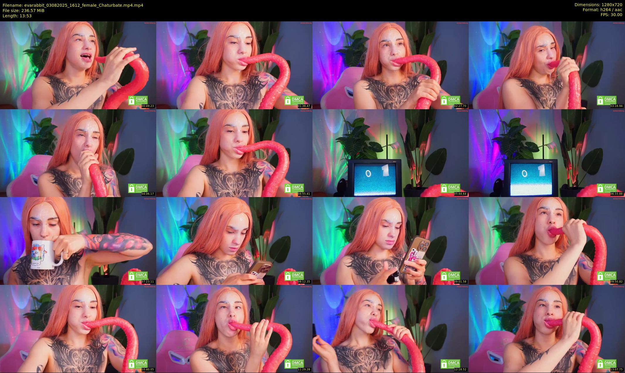 evarabbit — 14 minute Chaturbate female cam show recording, 720p, Aug 3, 2025