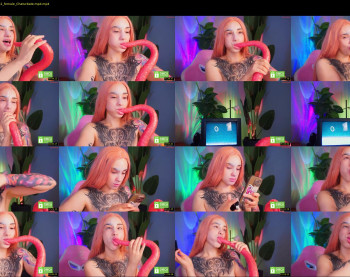 evarabbit — 14 minute Chaturbate female cam show recording, 720p, Aug 3, 2025