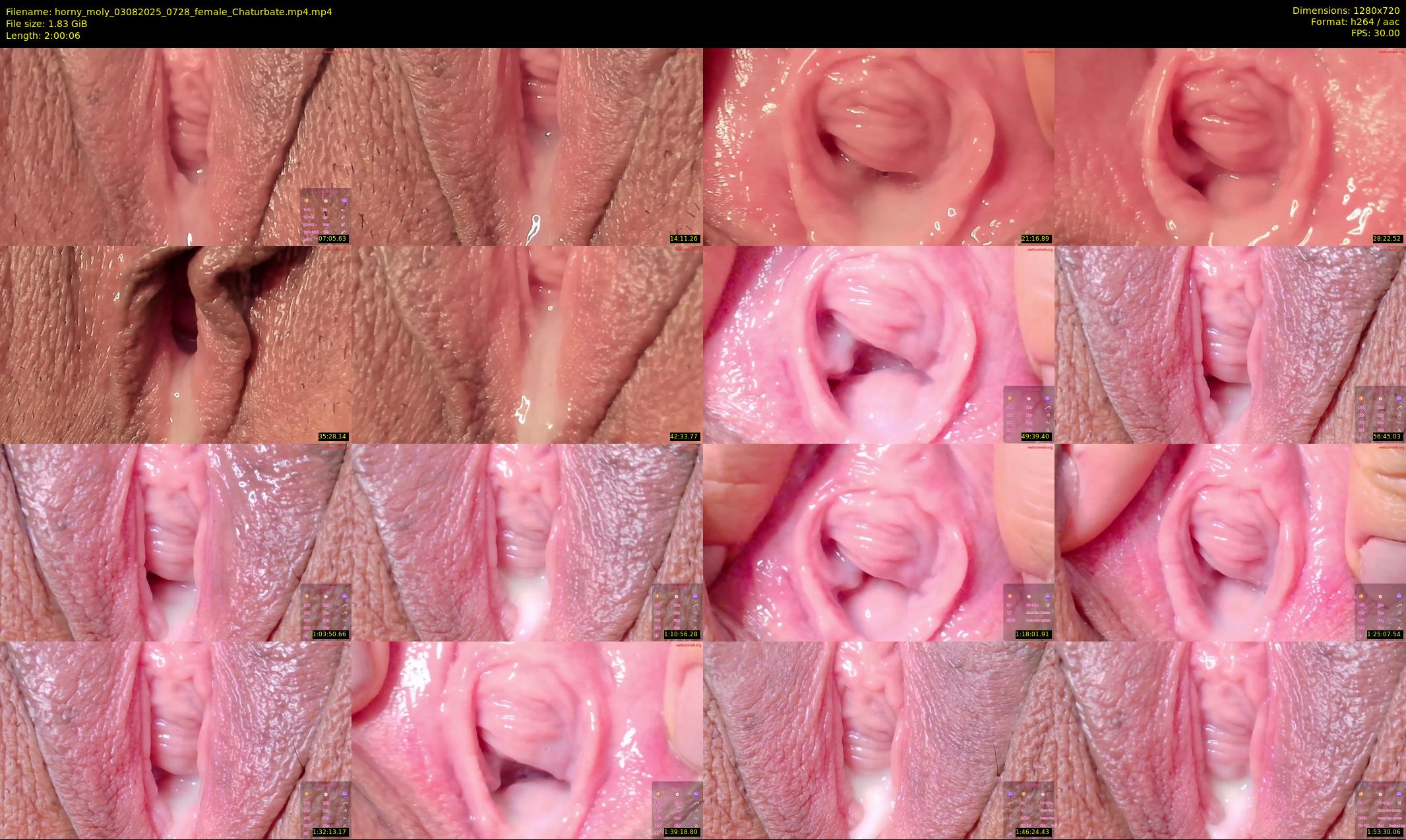 horny_moly — 121 minute Chaturbate female cam show recording, 720p, Aug 3, 2025