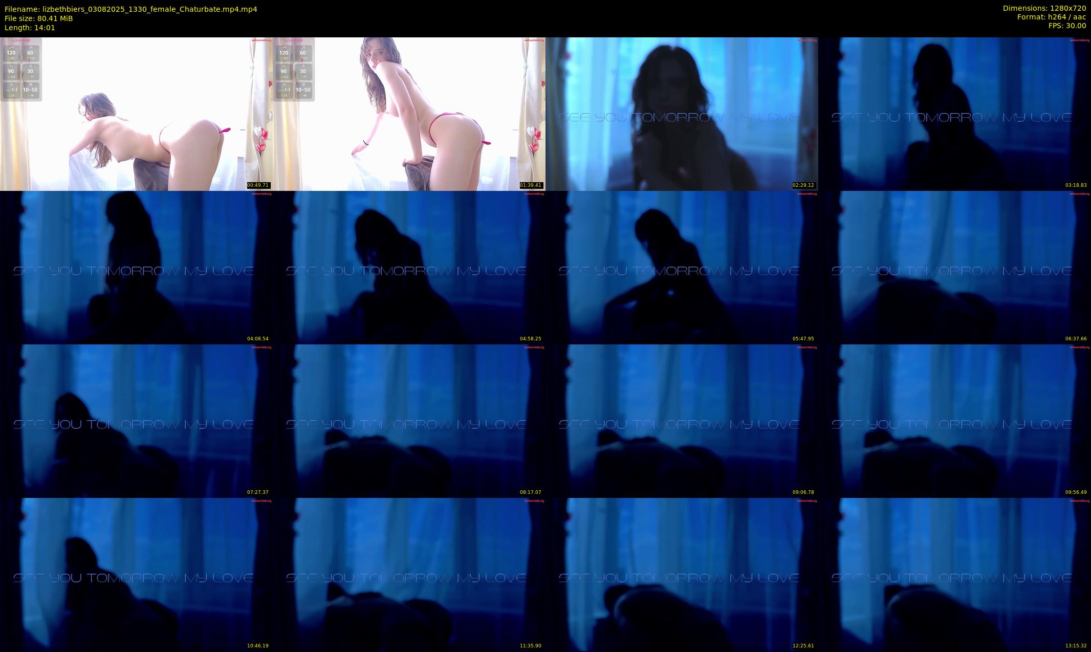 lizbethbiers — 15 minute Chaturbate female cam show recording, 720p, Aug 3, 2025