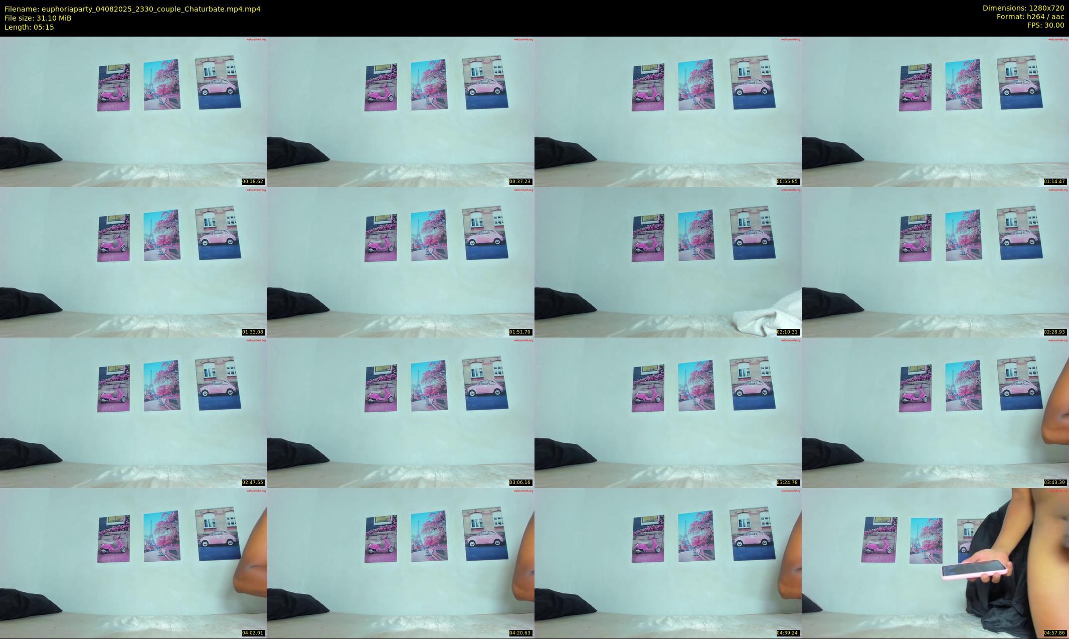 euphoriaparty — 6 minute Chaturbate couple cam show recording, 720p, Aug 4, 2025