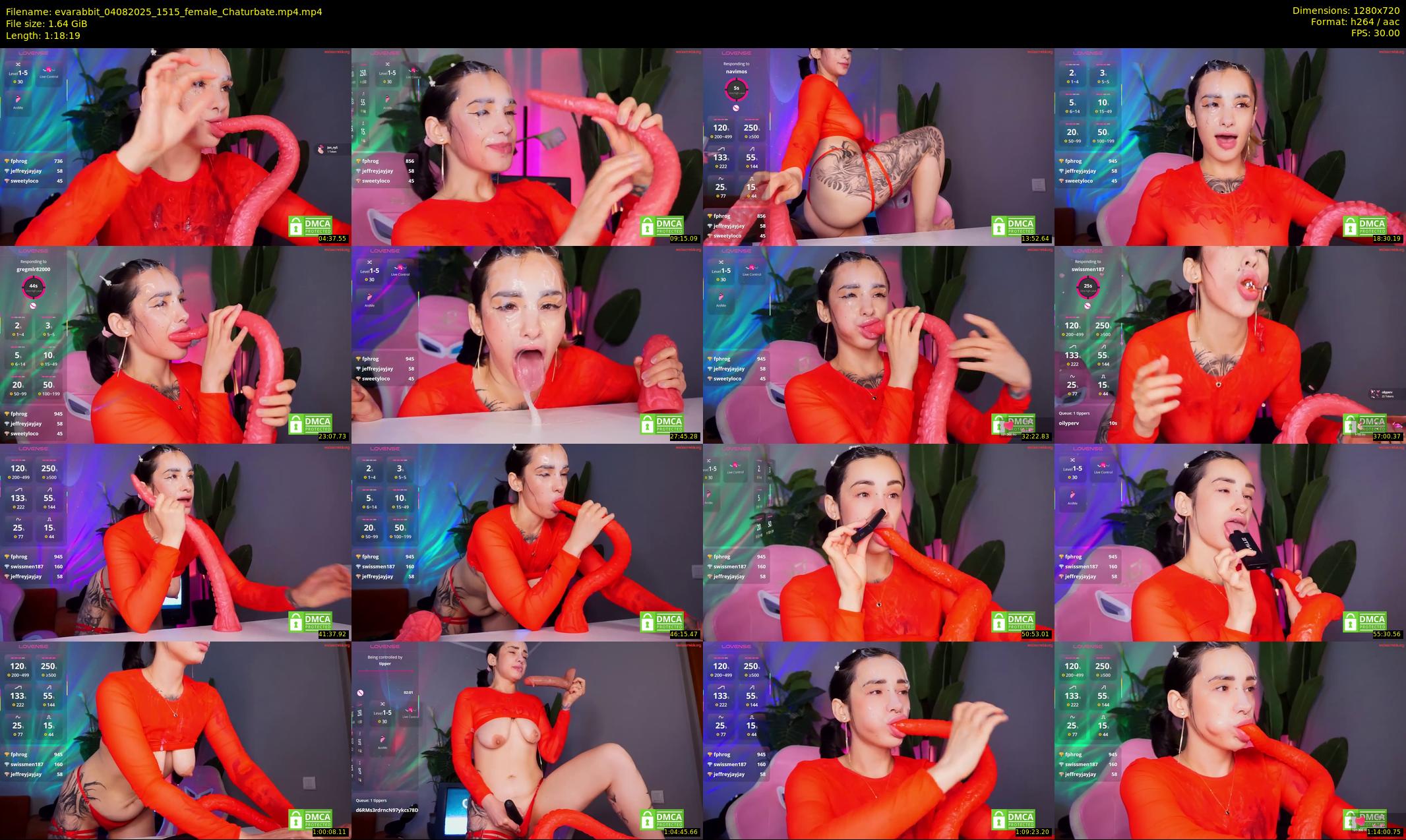 evarabbit — 79 minute Chaturbate female cam show recording, 720p, Aug 4, 2025