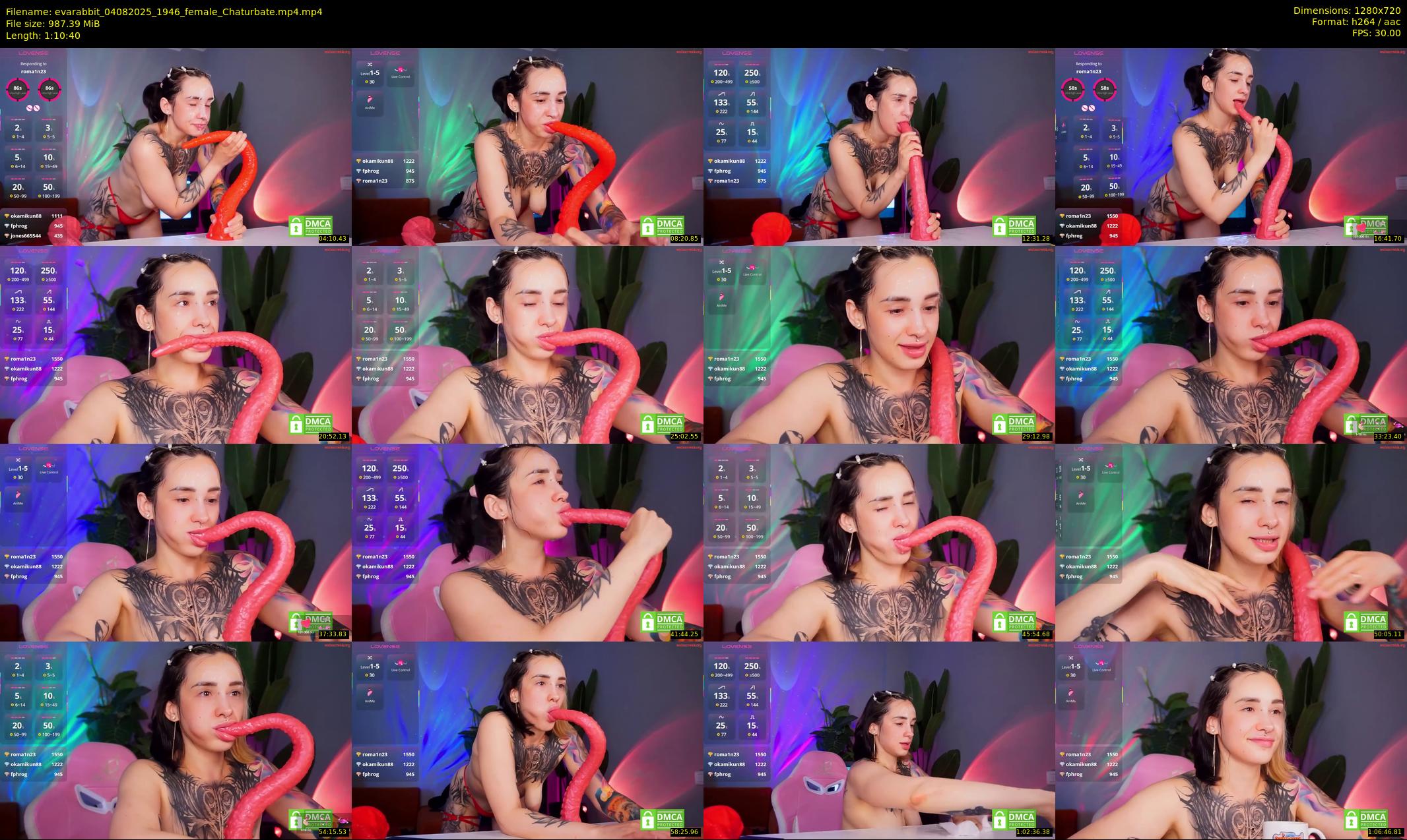 evarabbit — 71 minute Chaturbate female cam show recording, 720p, Aug 4, 2025