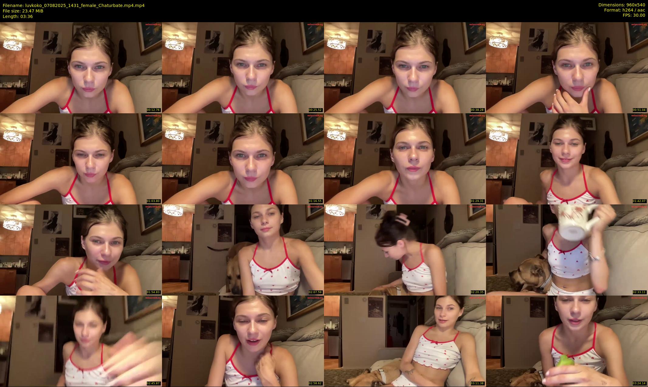 luvkoko — 4 minute Chaturbate couple cam show recording, 480p, Aug 7, 2025