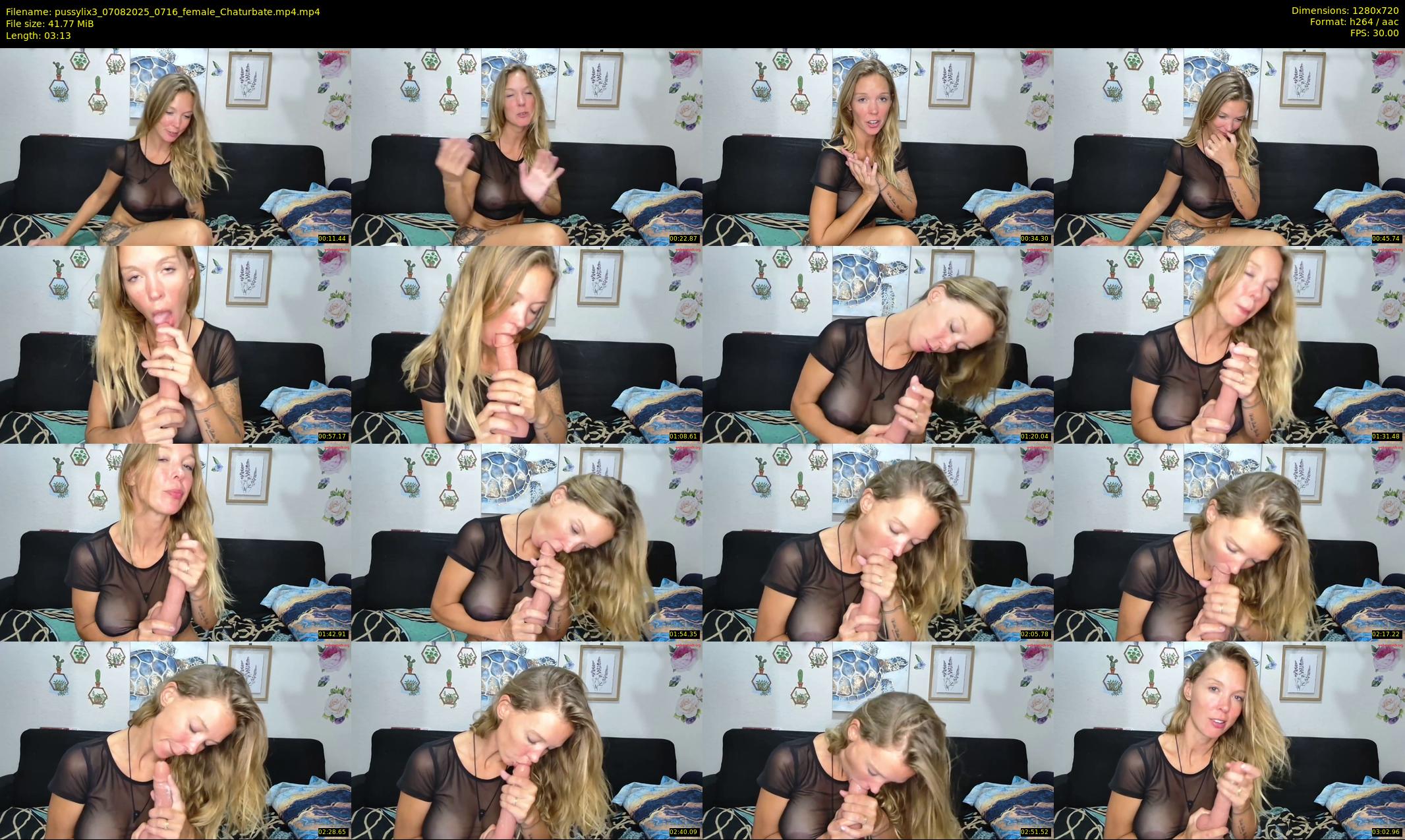 pussylix3 — 4 minute Chaturbate female cam show recording, 720p, Aug 7, 2025