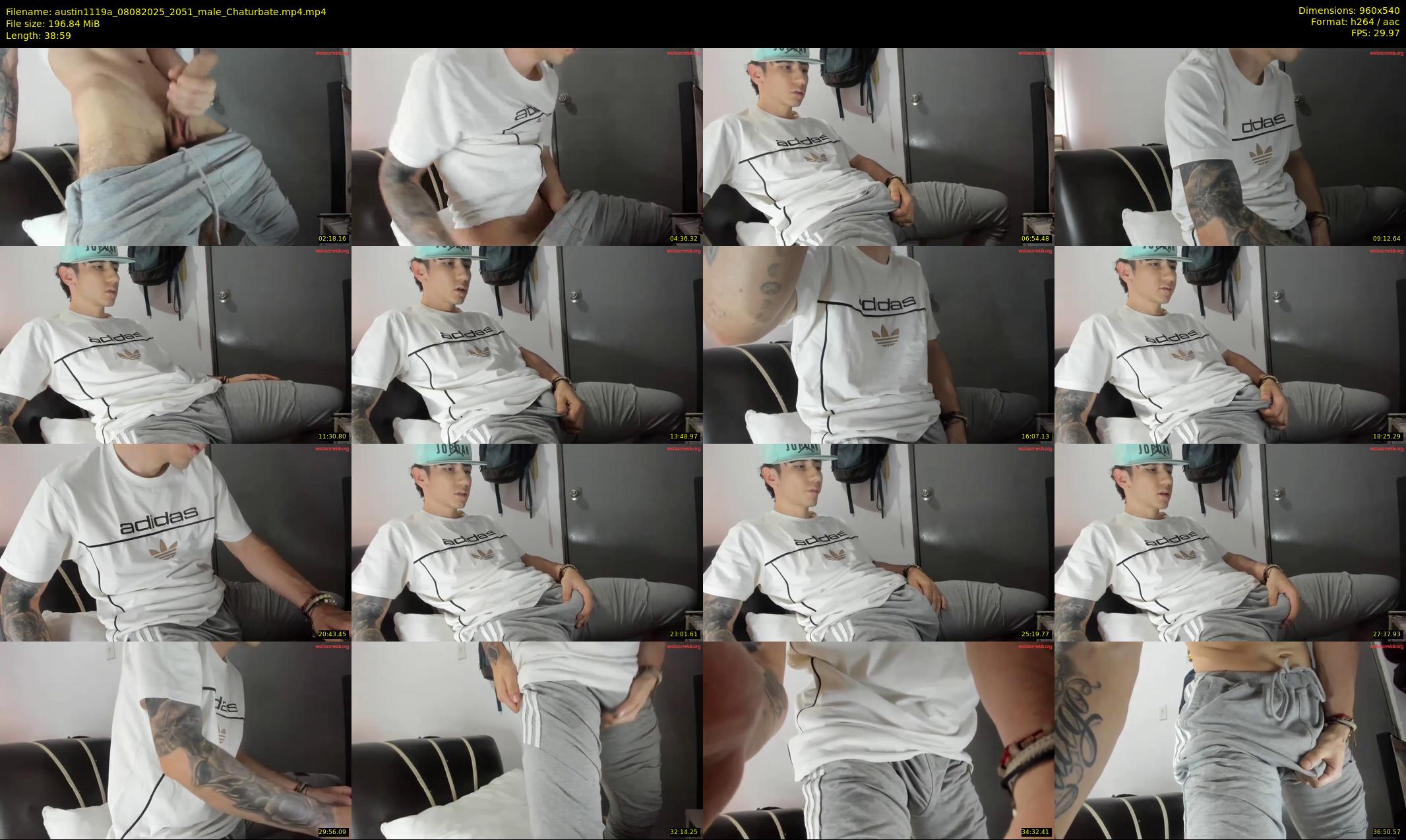 austin1119a — 39 minute Chaturbate male cam show recording, 480p, Aug 8, 2025