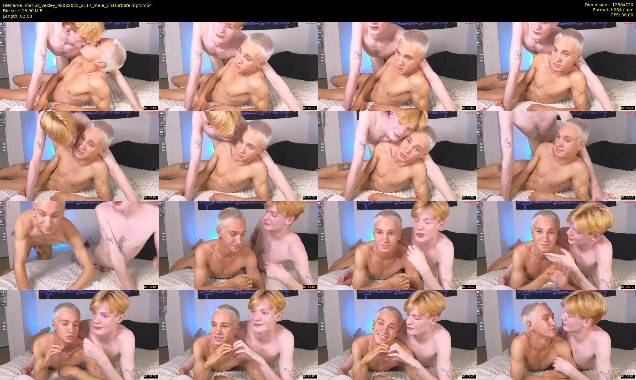 marius_vexley — 3 minute Chaturbate male cam show recording, 720p, Aug 8, 2025