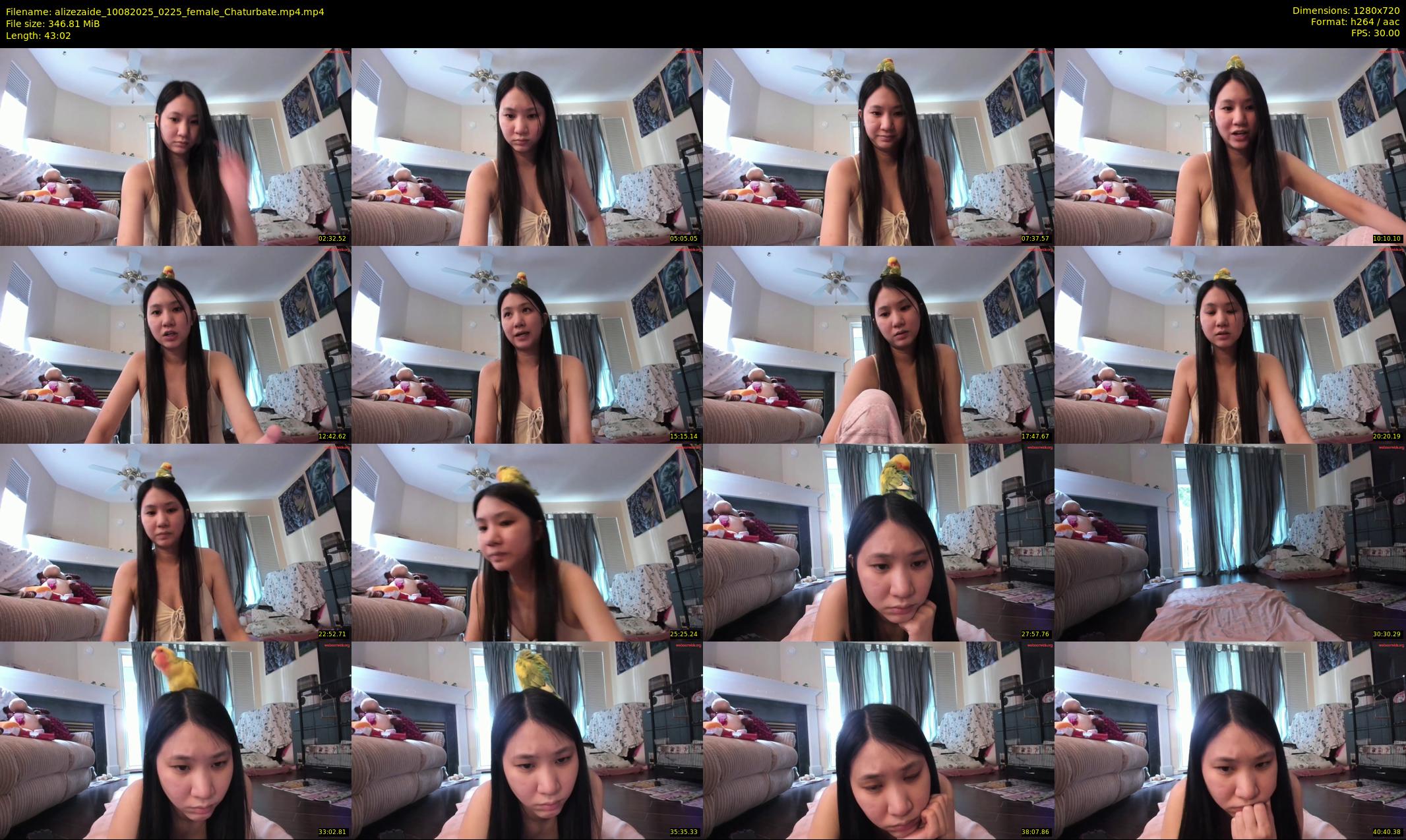 alizezaide — 44 minute Chaturbate female cam show recording, 720p, Aug 10, 2025