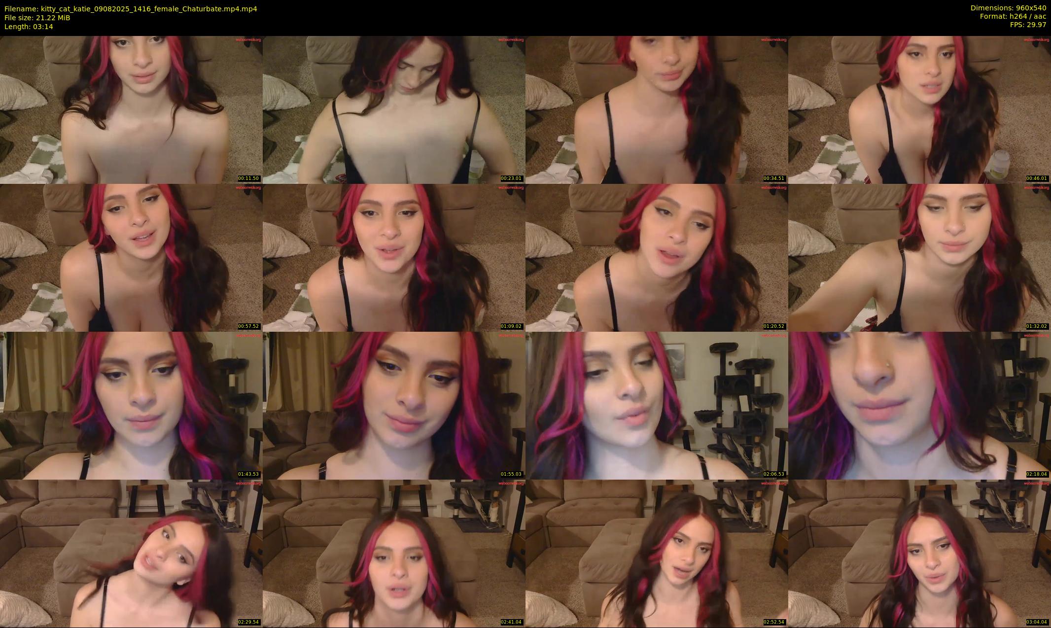 kitty_cat_katie — 4 minute Chaturbate female cam show recording, 480p, Aug 9, 2025
