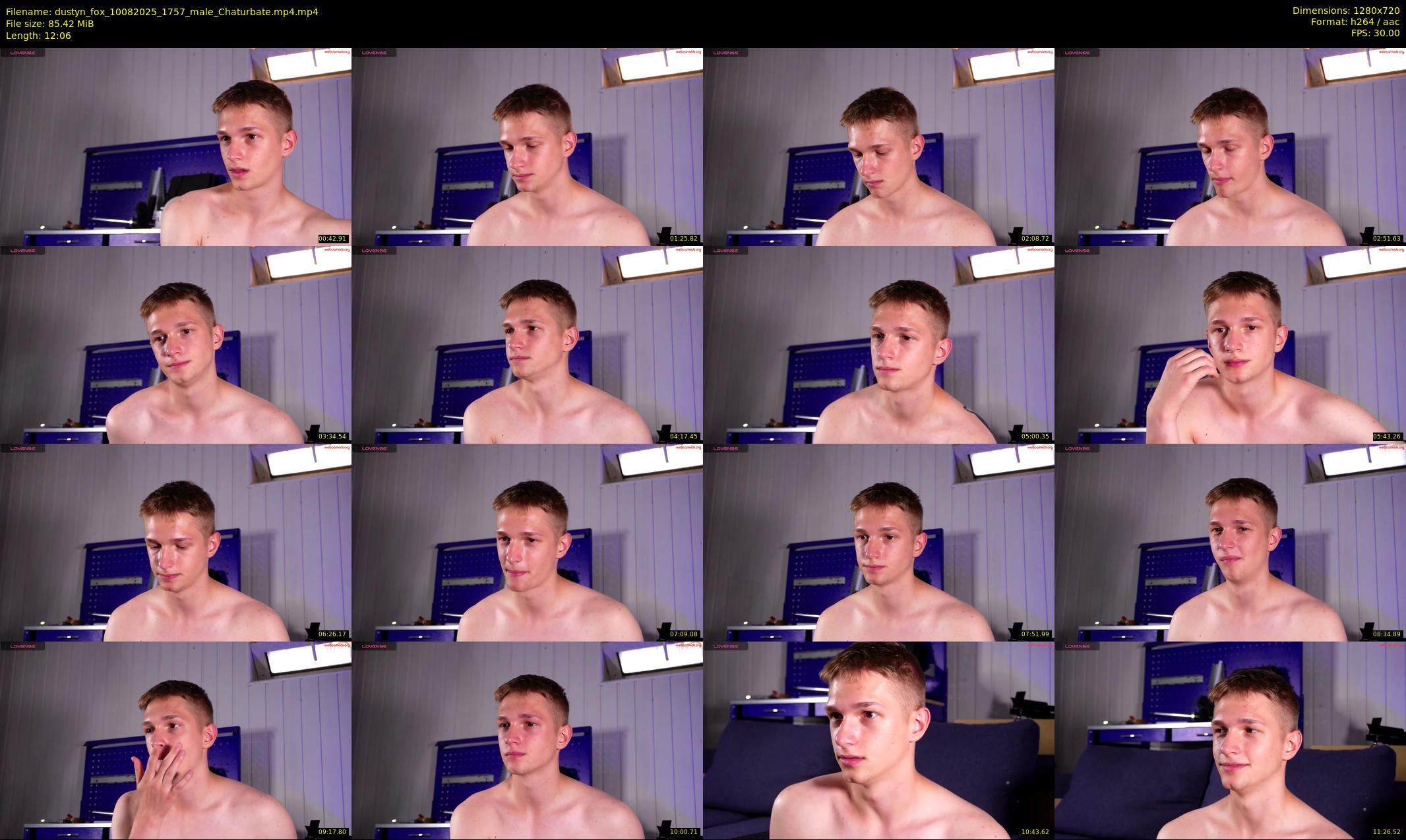 dustyn_fox — 13 minute Chaturbate male cam show recording, 720p, Aug 10, 2025