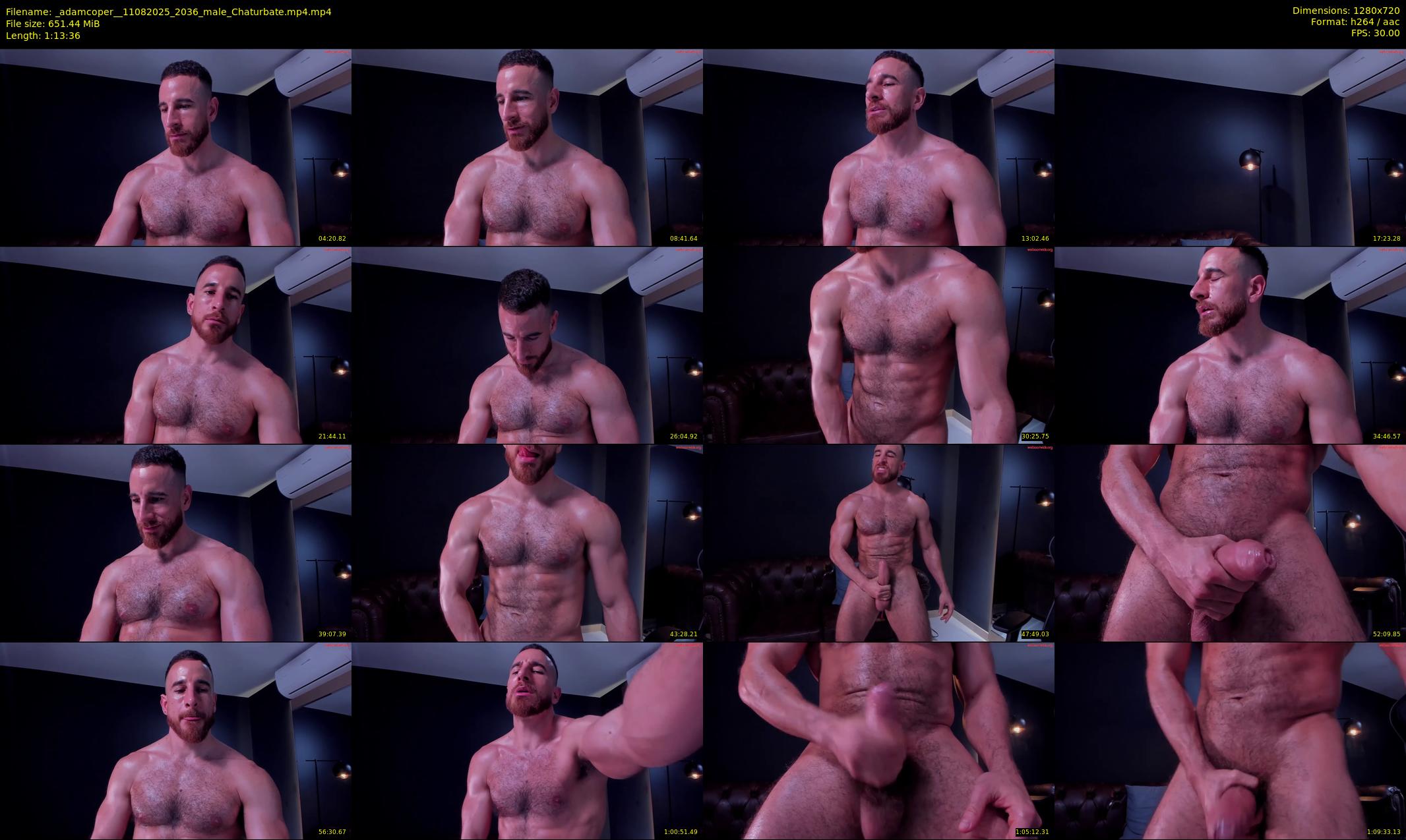 _adamcoper_ — 74 minute Chaturbate male cam show recording, 720p, Aug 11, 2025