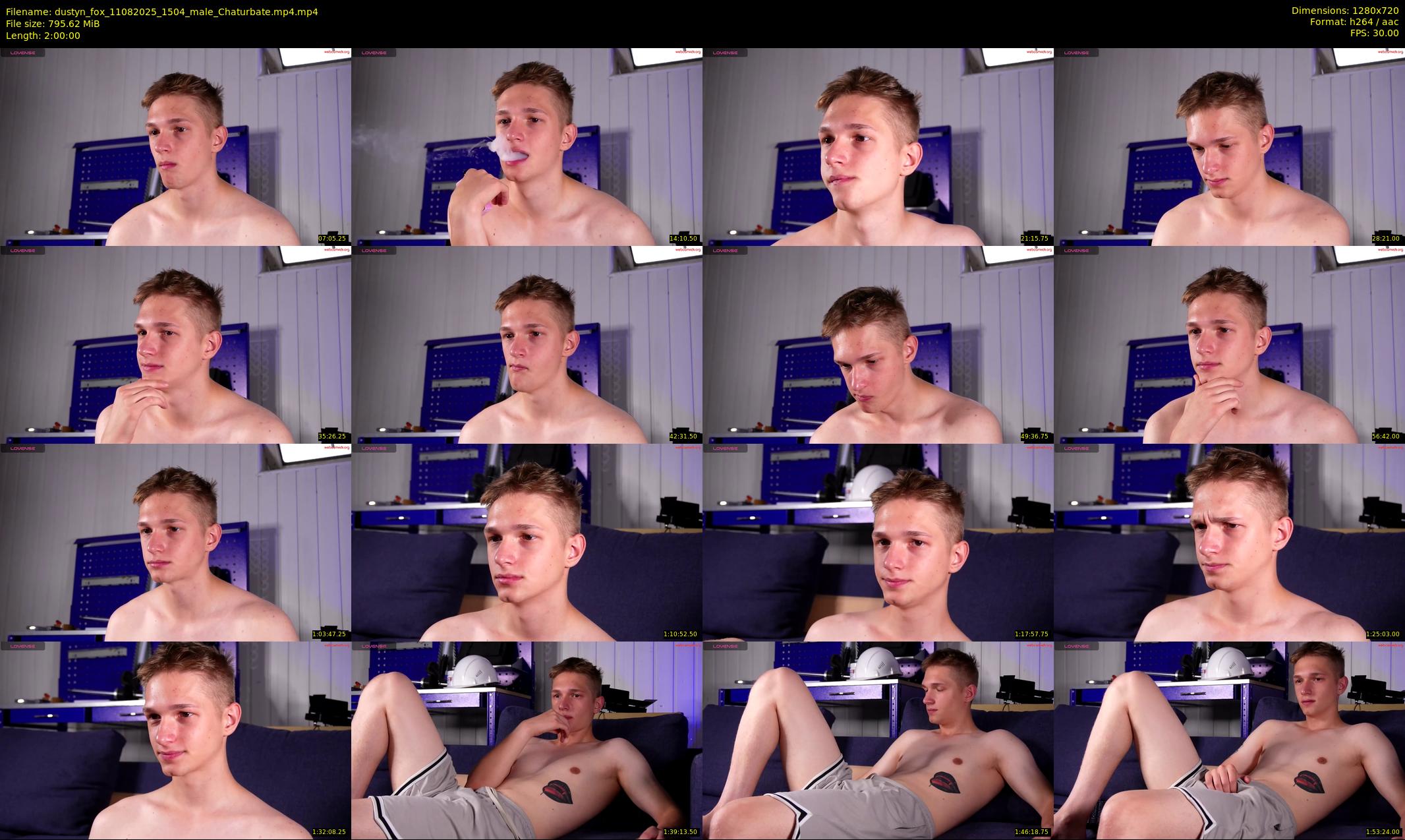 dustyn_fox — 120 minute Chaturbate male cam show recording, 720p, Aug 11, 2025