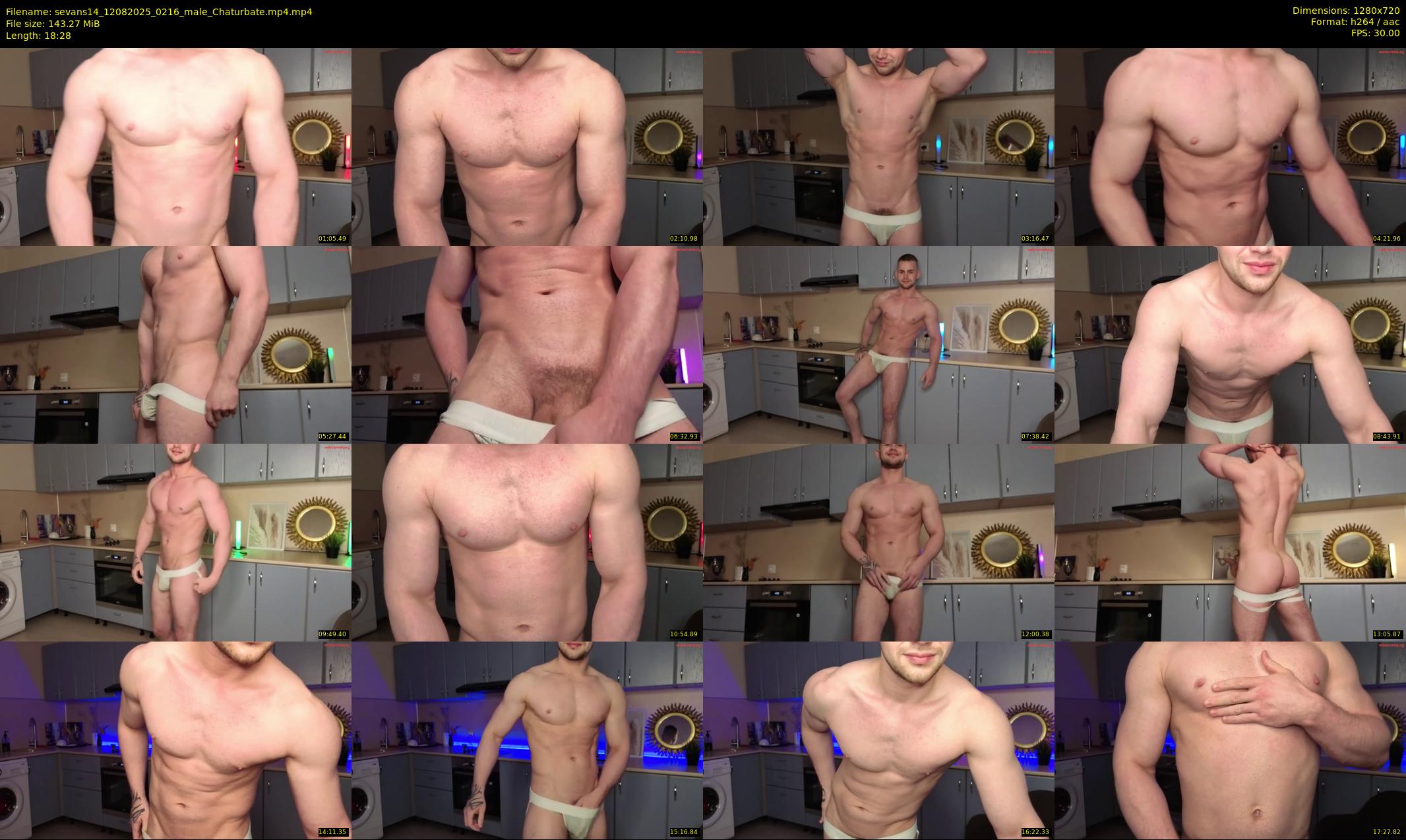sevans14 — 19 minute Chaturbate male cam show recording, 720p, Aug 12, 2025