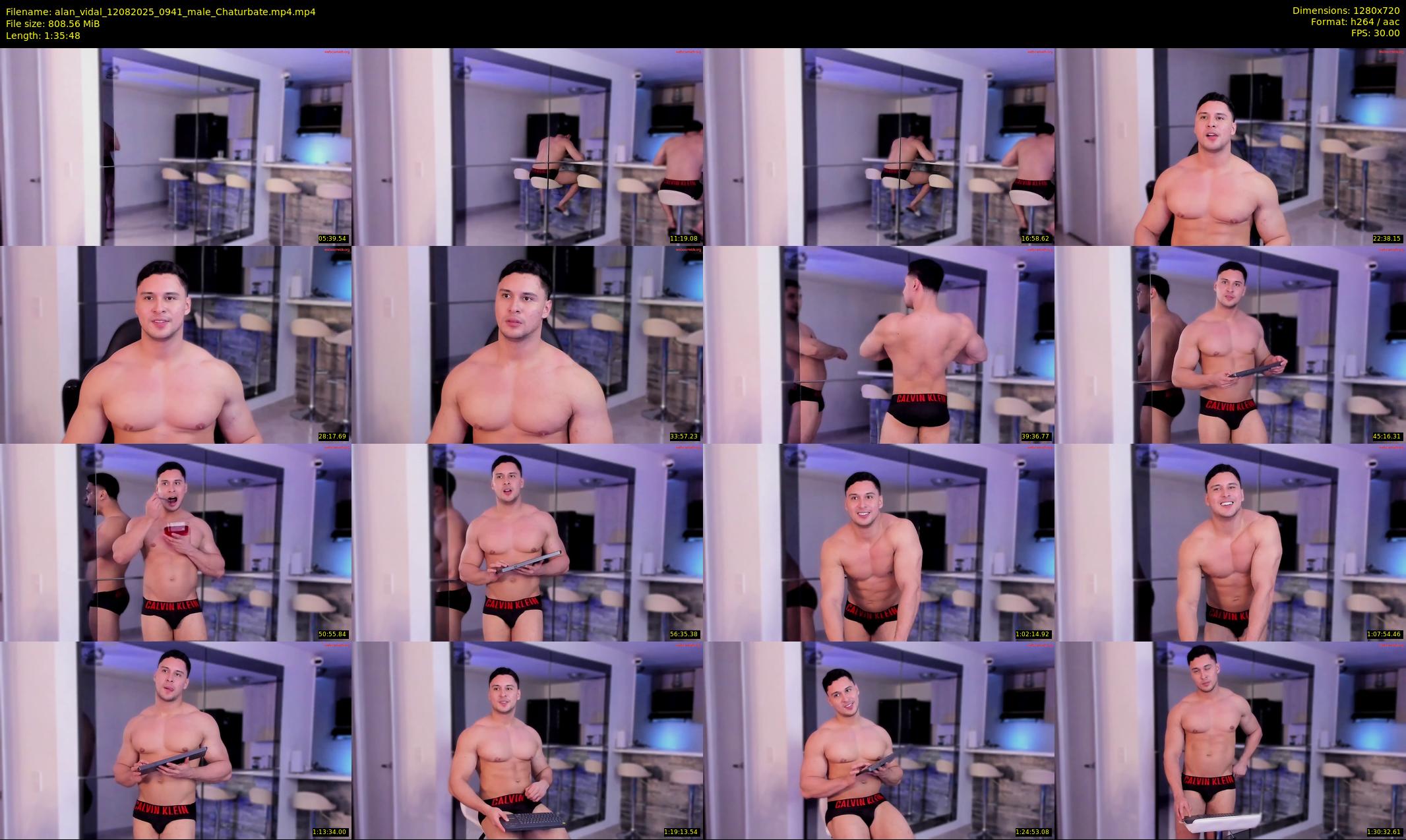 alan_vidal — 96 minute Chaturbate male cam show recording, 720p, Aug 12, 2025