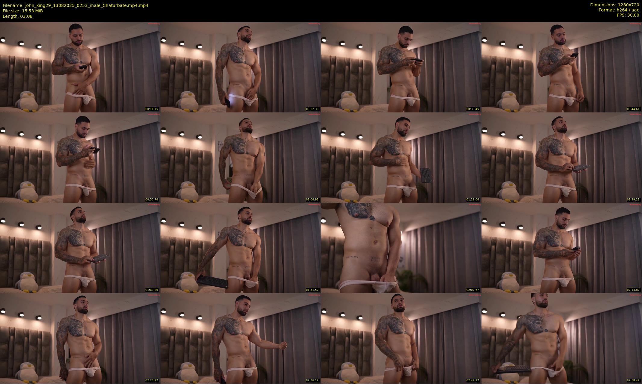 john_king29 — 4 minute Chaturbate male cam show recording, 720p, Aug 13, 2025