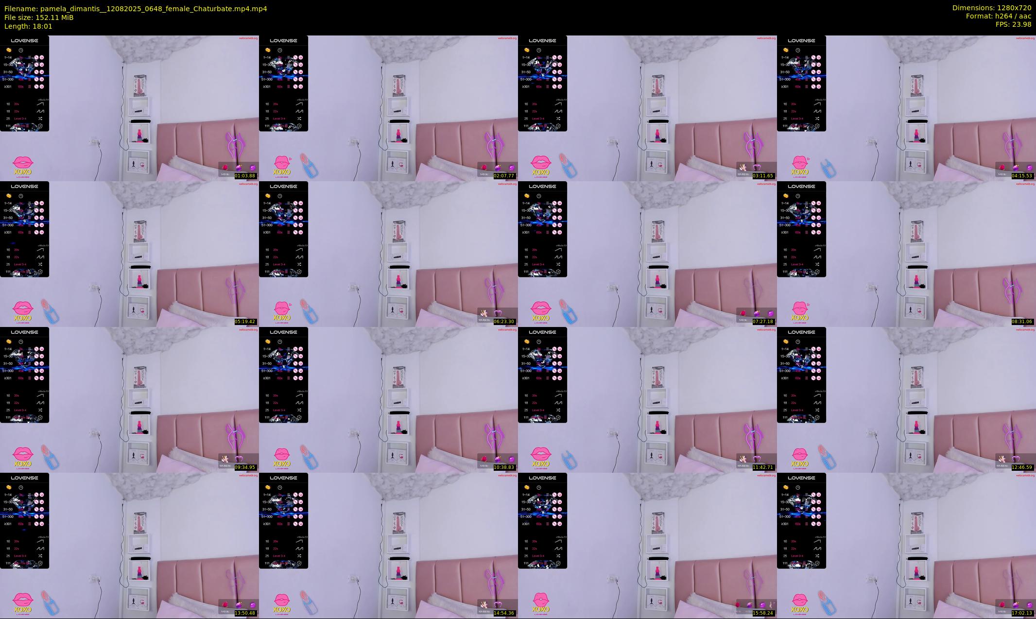 pamela_dimantis_ — 19 minute Chaturbate female cam show recording, 720p, Aug 12, 2025