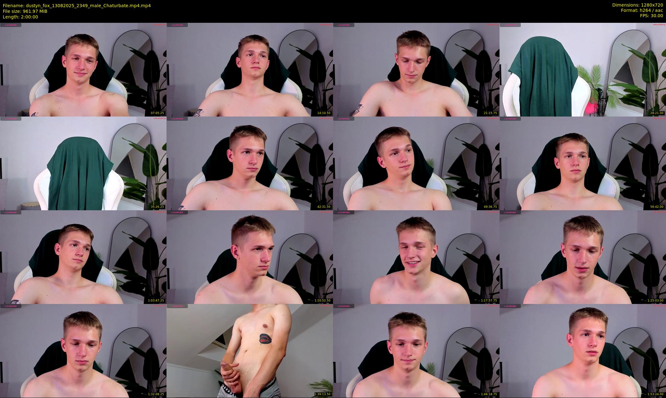 dustyn_fox — 120 minute Chaturbate male cam show recording, 720p, Aug 13, 2025