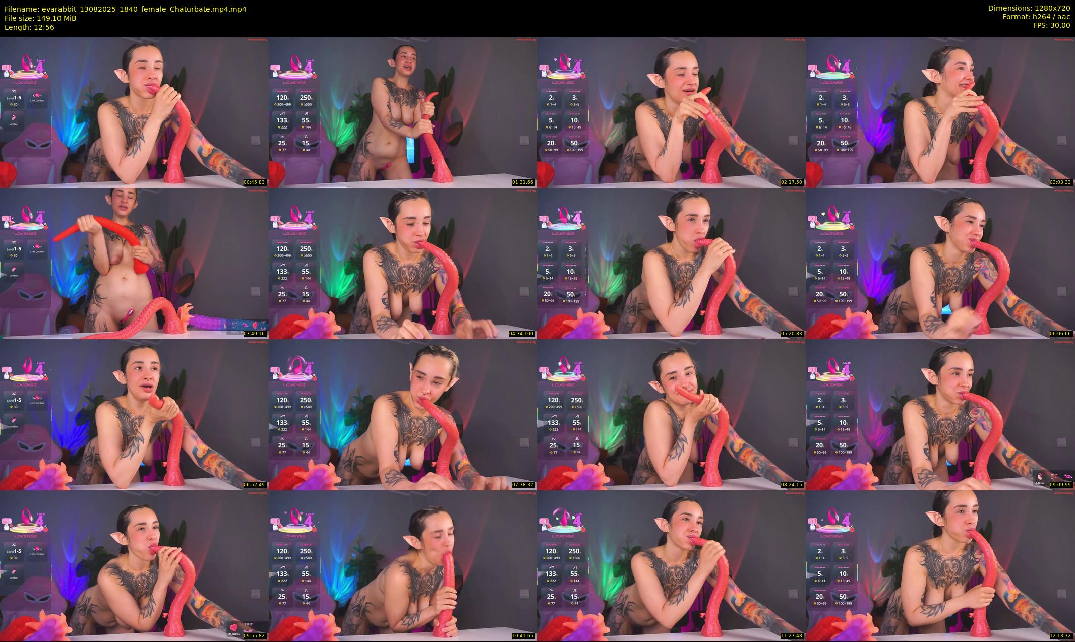 evarabbit — 13 minute Chaturbate female cam show recording, 720p, Aug 13, 2025