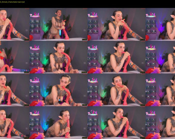 evarabbit — 13 minute Chaturbate female cam show recording, 720p, Aug 13, 2025