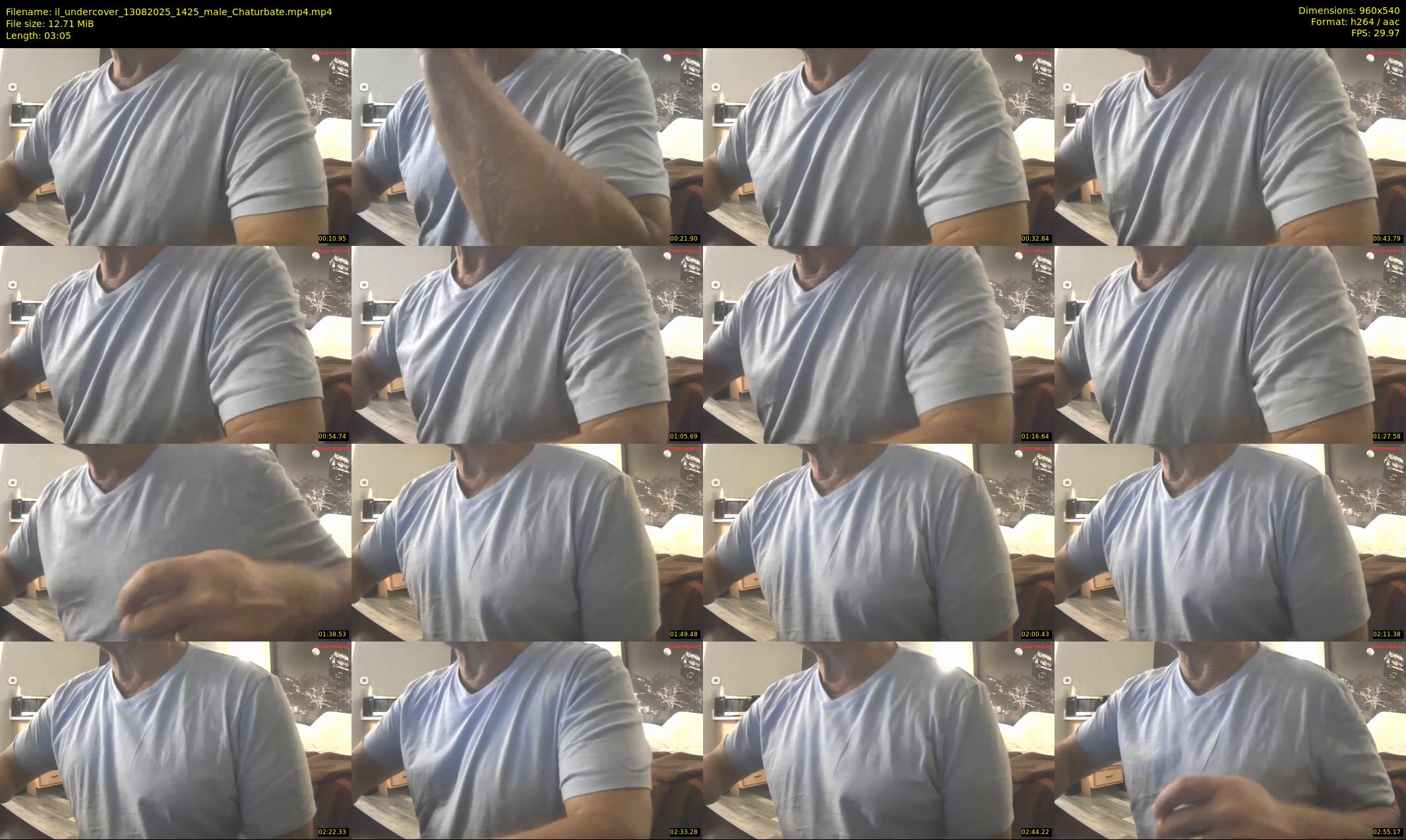 il_undercover — 4 minute Chaturbate male cam show recording, 480p, Aug 13, 2025