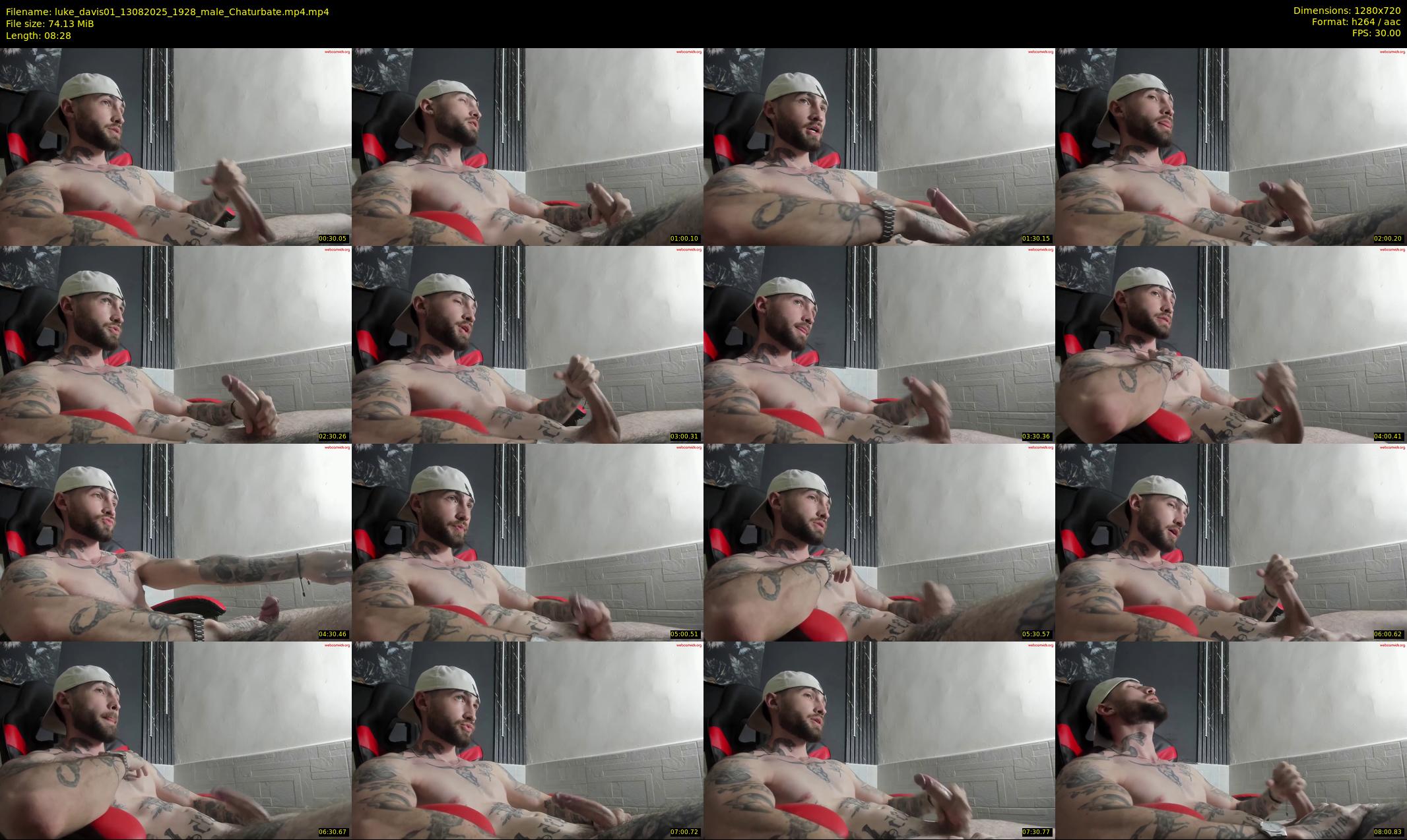luke_davis01 — 9 minute Chaturbate male cam show recording, 720p, Aug 13, 2025