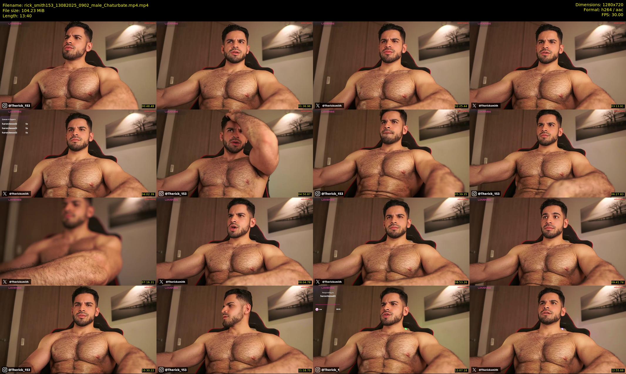 rick_smith153 — 14 minute Chaturbate male cam show recording, 720p, Aug 13, 2025