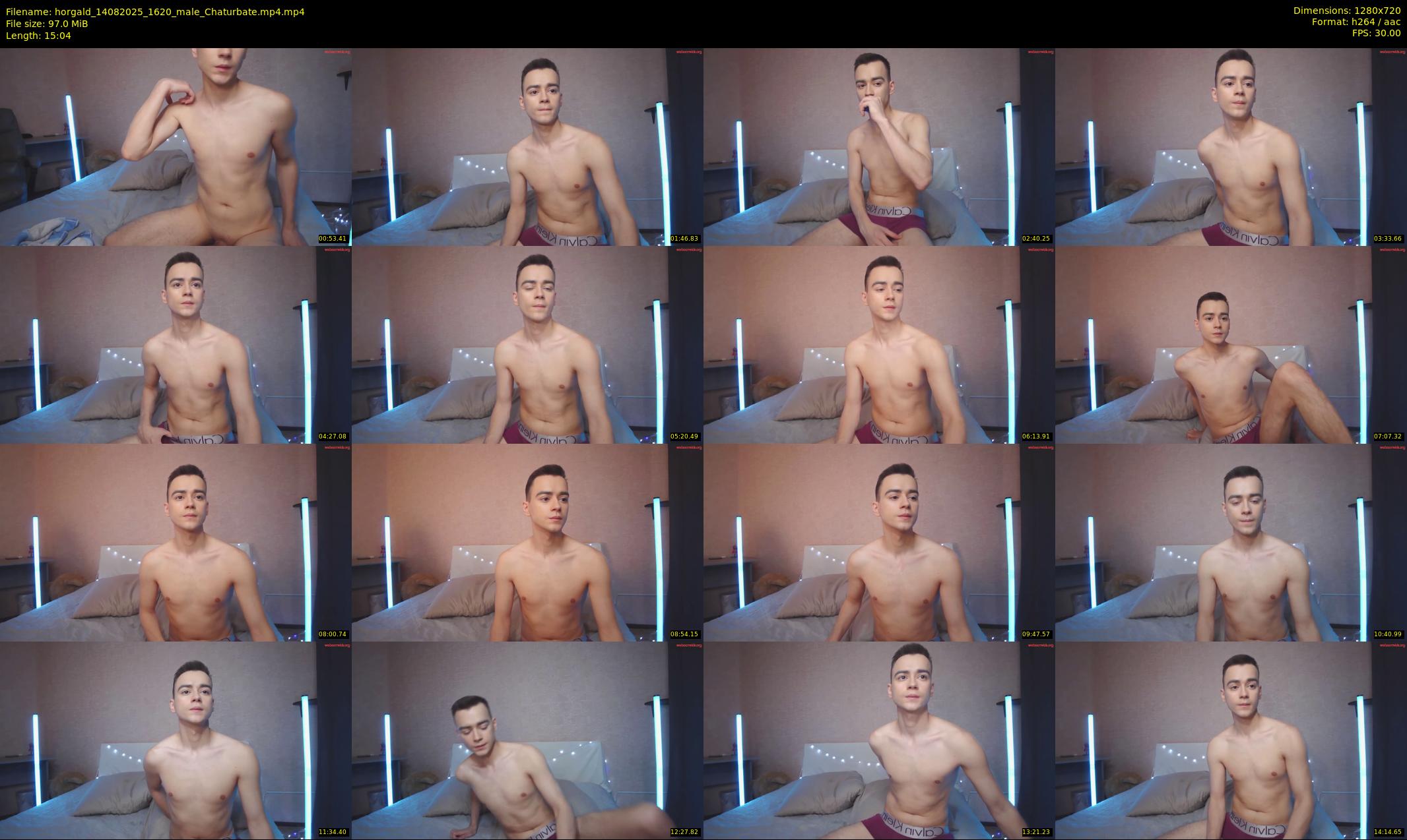 horgald — 16 minute Chaturbate couple cam show recording, 720p, Aug 14, 2025