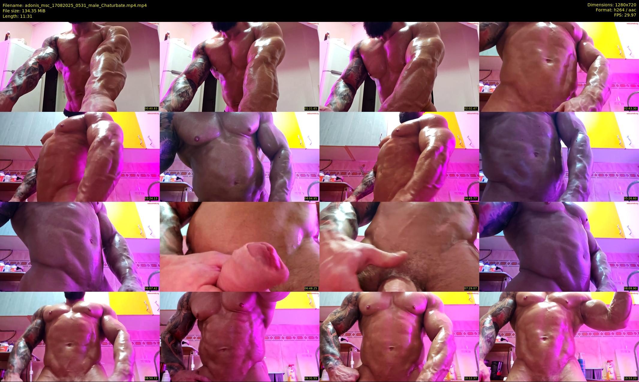 adonis_msc — 12 minute Chaturbate male cam show recording, 720p, Aug 17, 2025