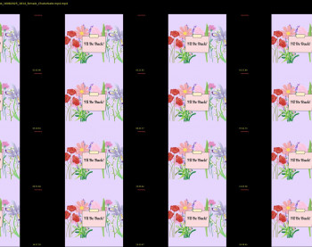 constantcumquest — 19 minute Chaturbate female cam show recording, 720p, Aug 16, 2025
