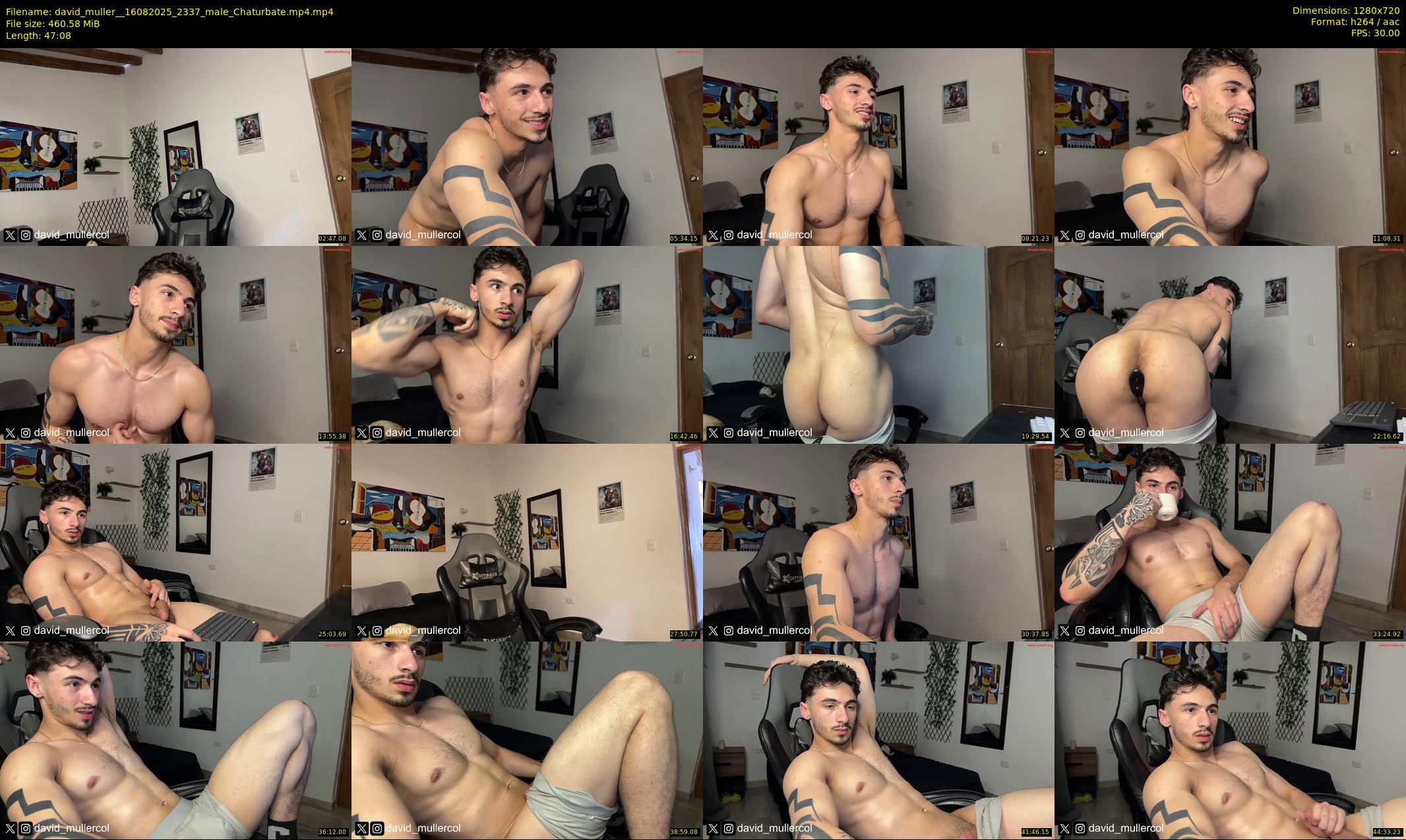 david_muller_ — 48 minute Chaturbate male cam show recording, 720p, Aug 16, 2025