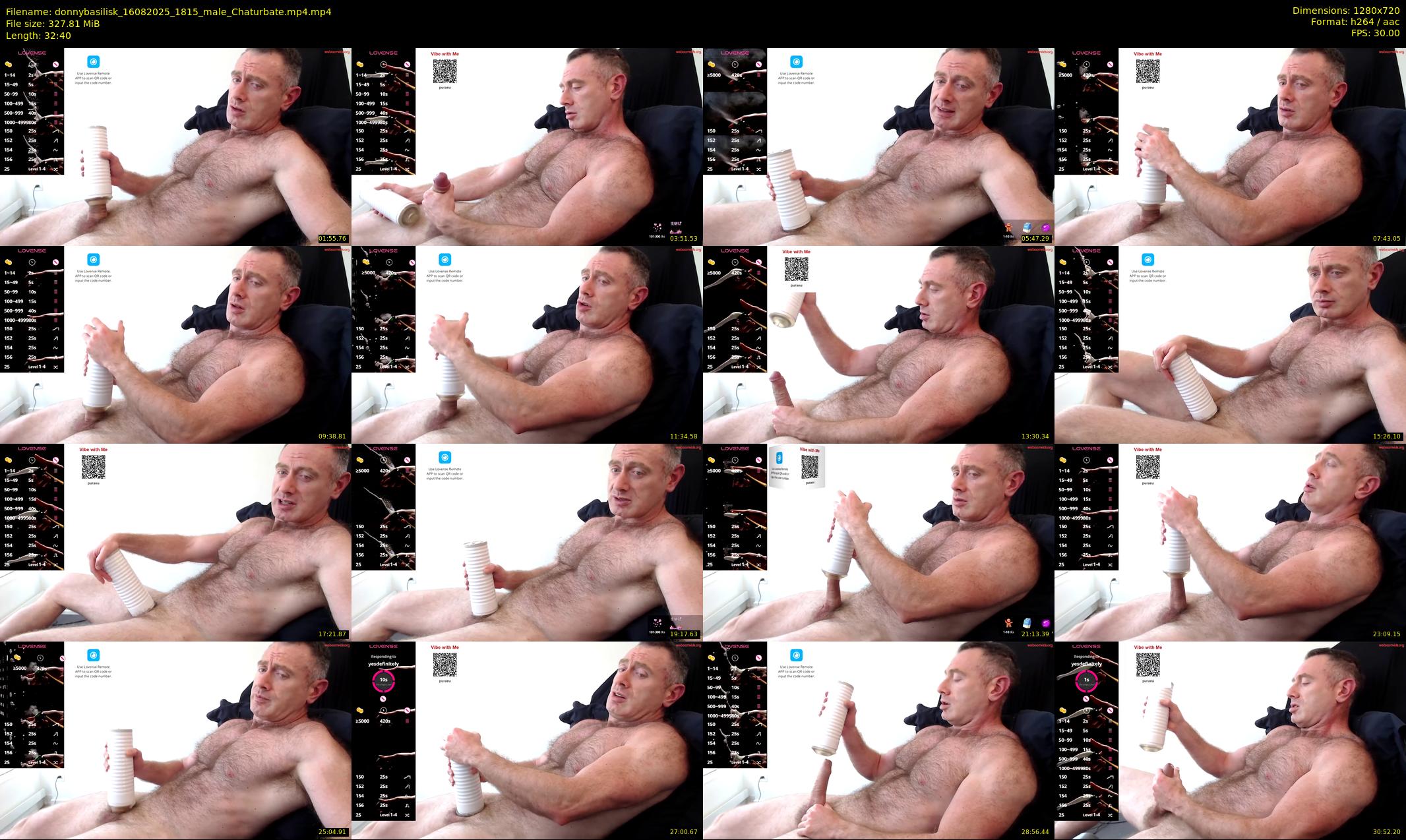donnybasilisk — 33 minute Chaturbate male cam show recording, 720p, Aug 16, 2025