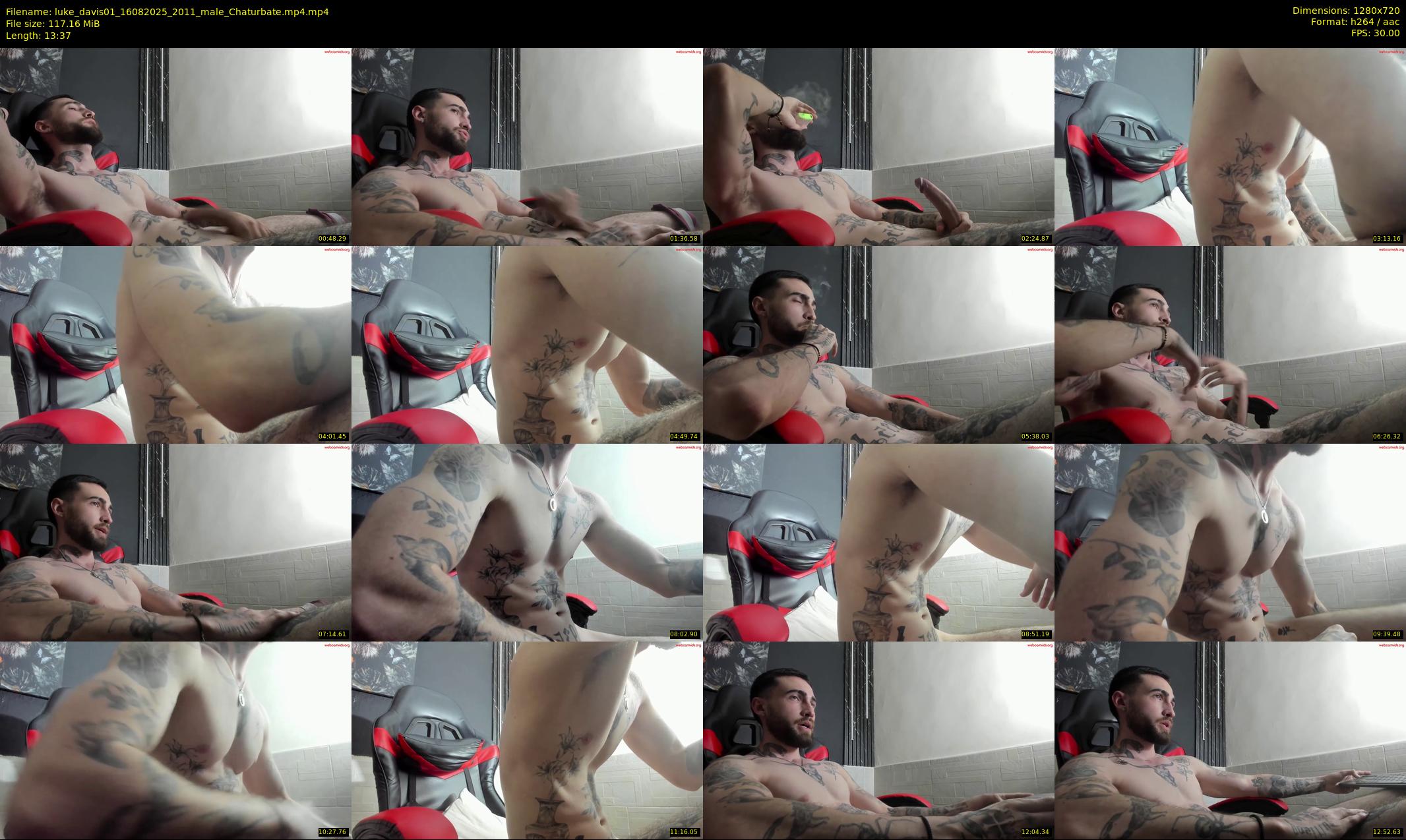 luke_davis01 — 14 minute Chaturbate male cam show recording, 720p, Aug 16, 2025