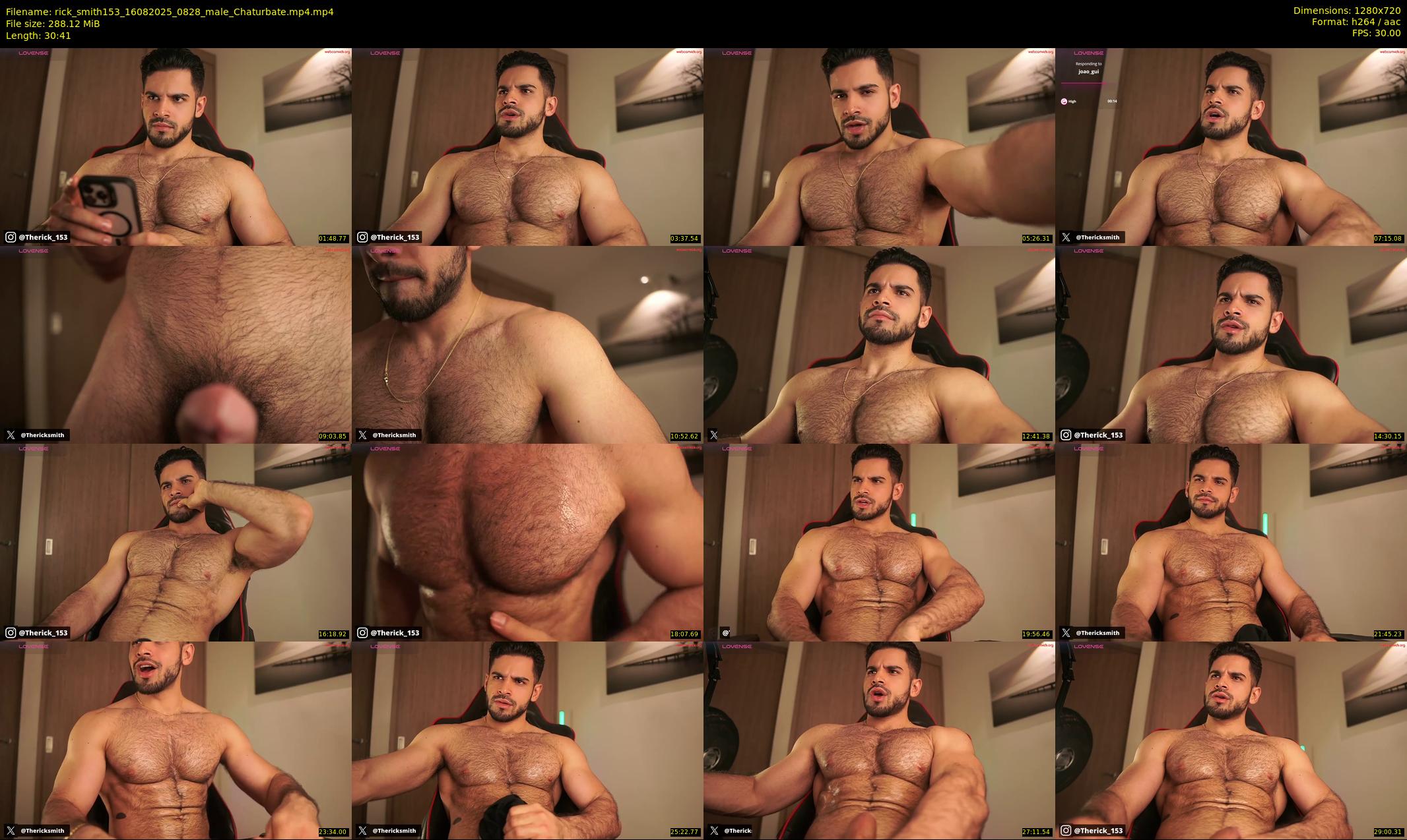 rick_smith153 — 31 minute Chaturbate male cam show recording, 720p, Aug 16, 2025