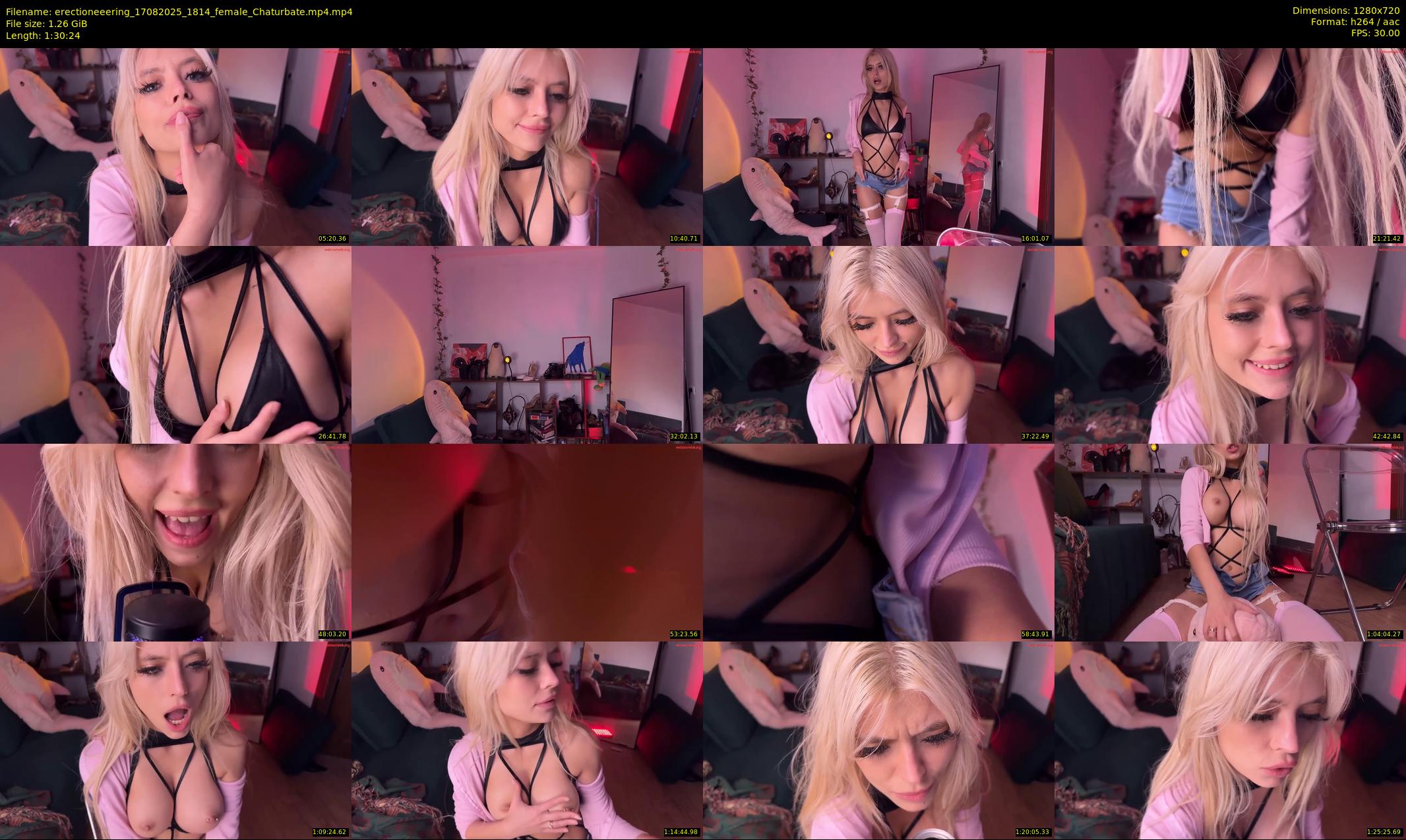 erectioneeering — 91 minute Chaturbate female cam show recording, 720p, Aug 17, 2025