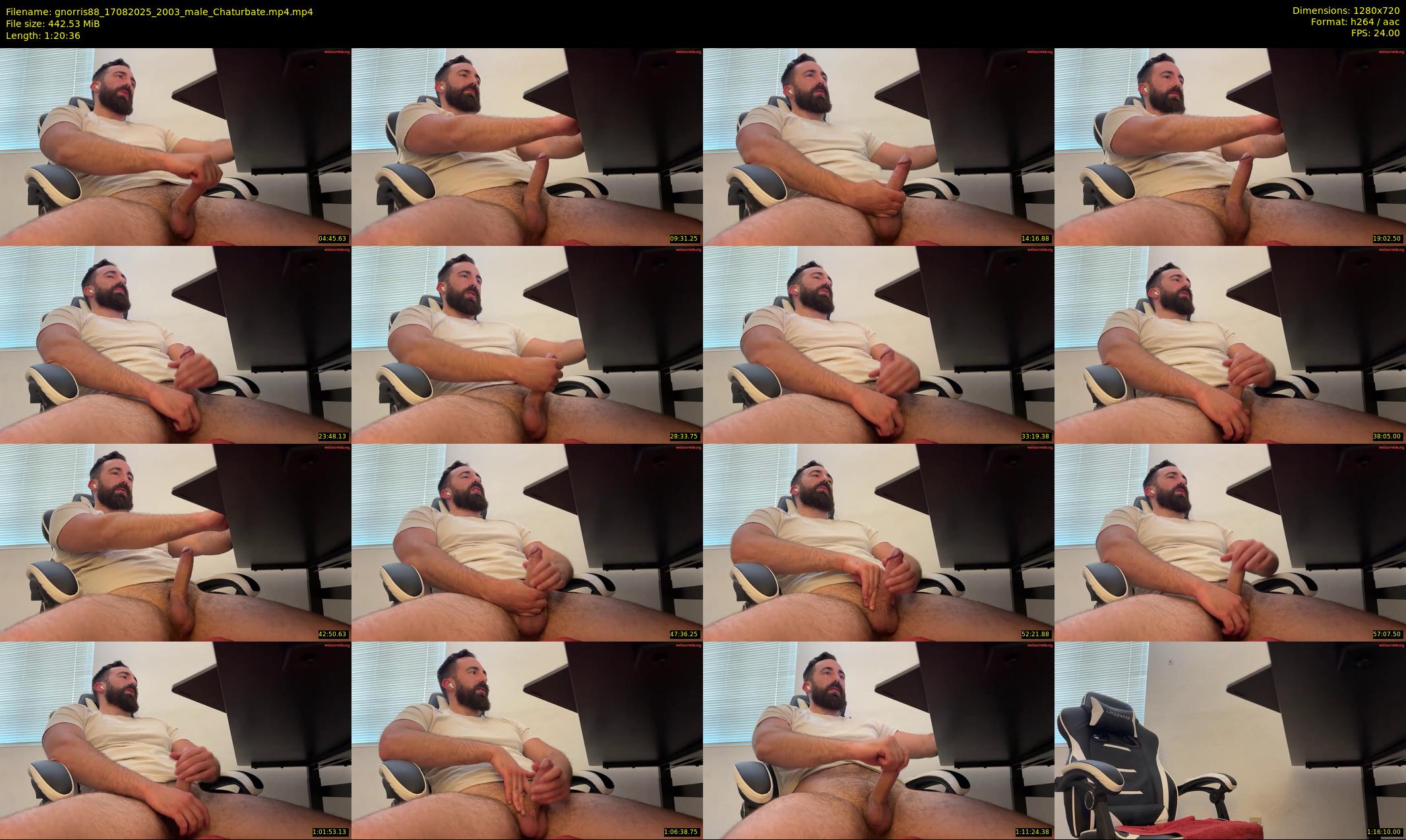 gnorris88 — 81 minute Chaturbate male cam show recording, 720p, Aug 17, 2025