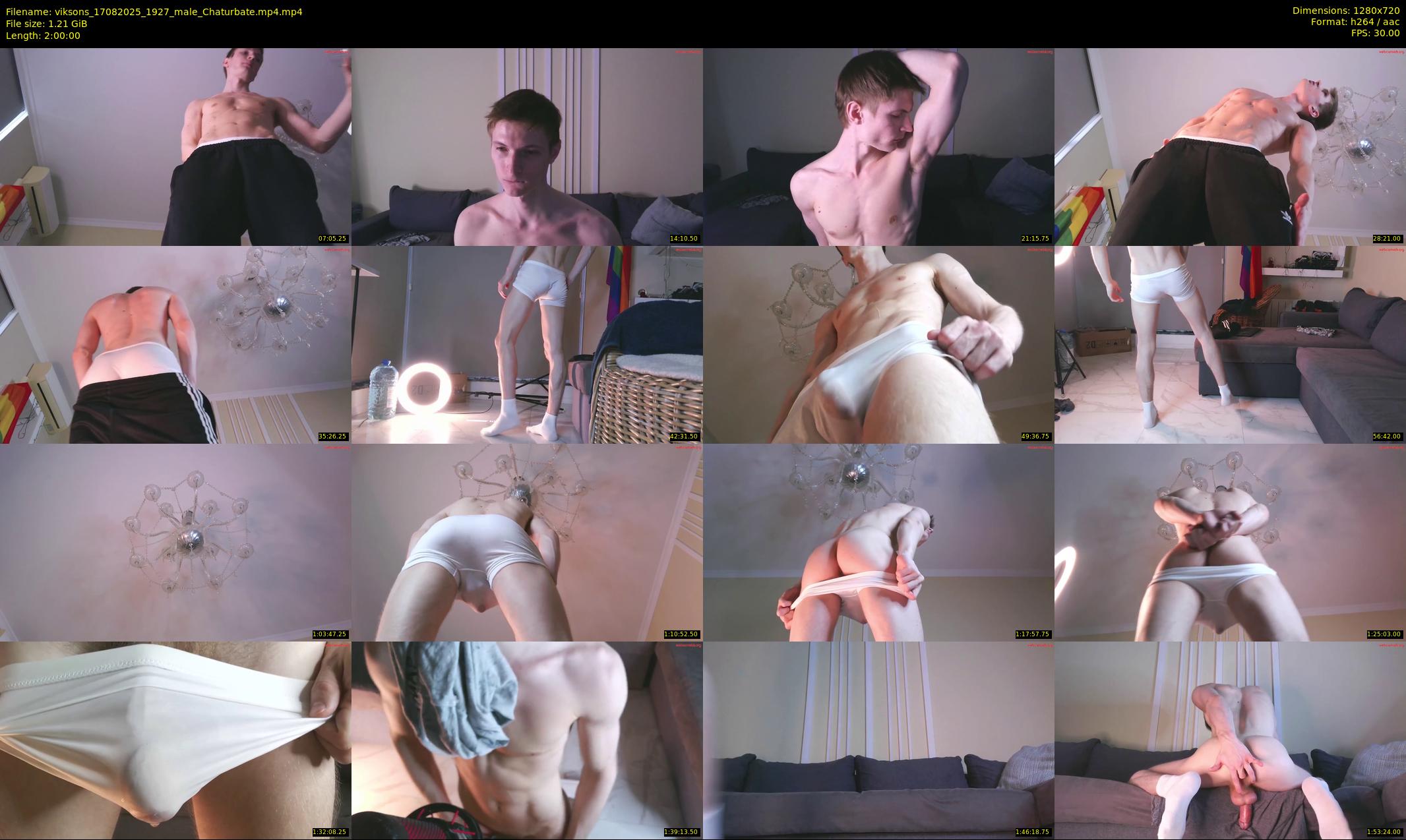 viksons — 120 minute Chaturbate male cam show recording, 720p, Aug 17, 2025