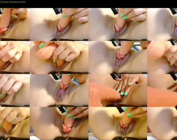 wildpersia — 19 minute Chaturbate female cam show recording, 720p, Aug 17, 2025