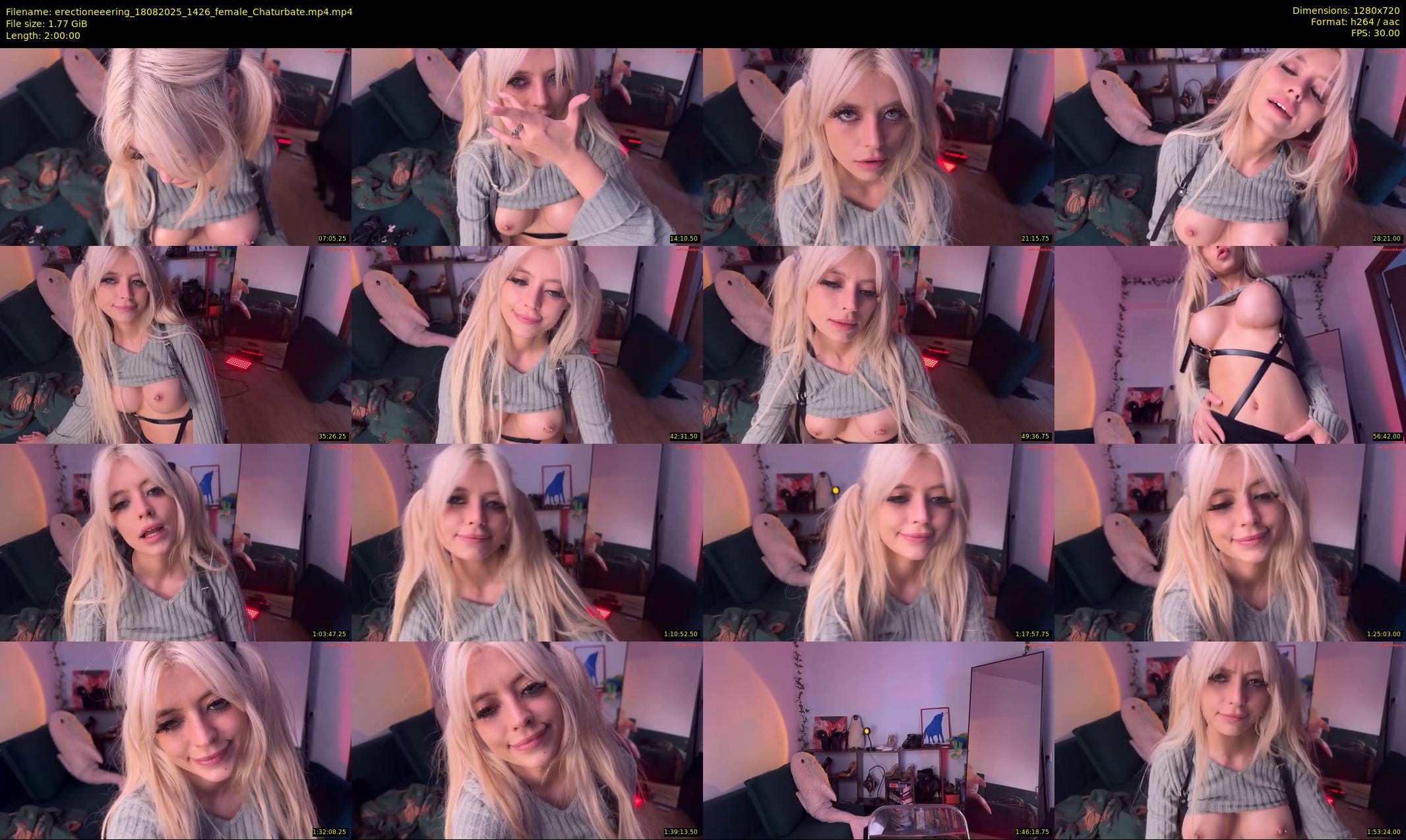 erectioneeering — 120 minute Chaturbate female cam show recording, 720p, Aug 18, 2025