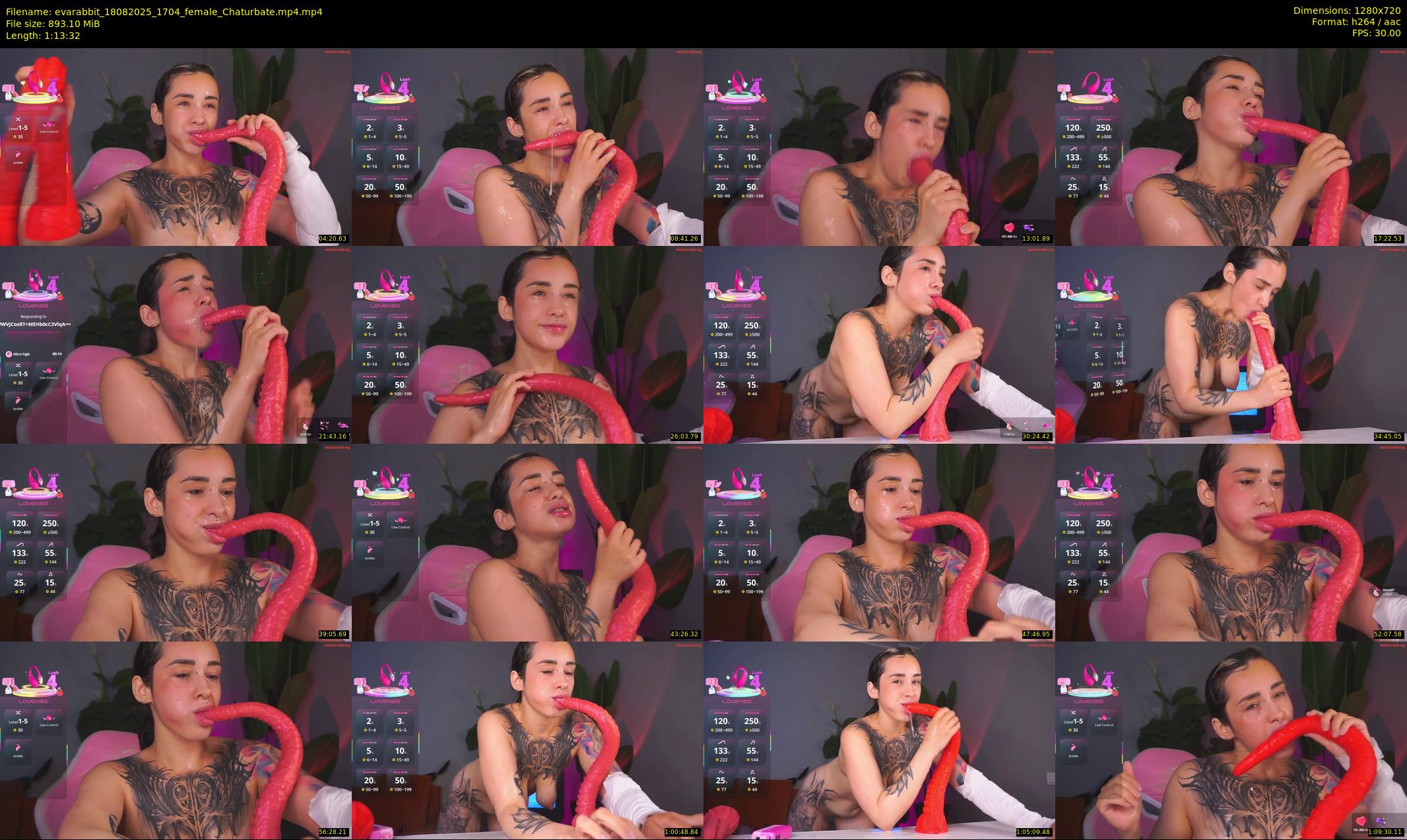 evarabbit — 74 minute Chaturbate female cam show recording, 720p, Aug 18, 2025