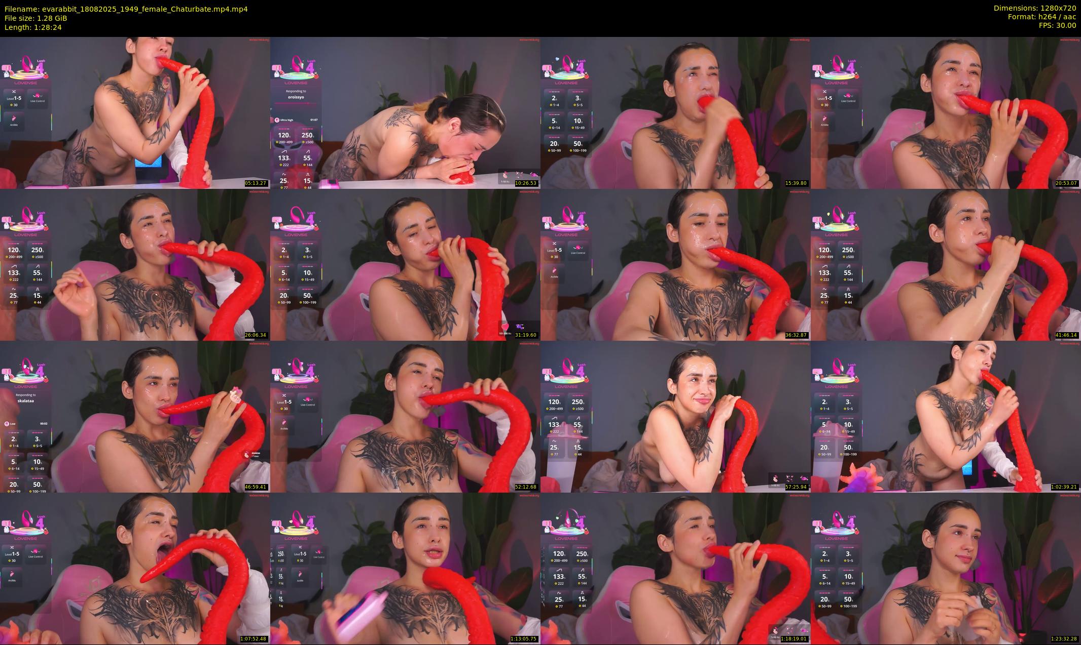 evarabbit — 89 minute Chaturbate female cam show recording, 720p, Aug 18, 2025