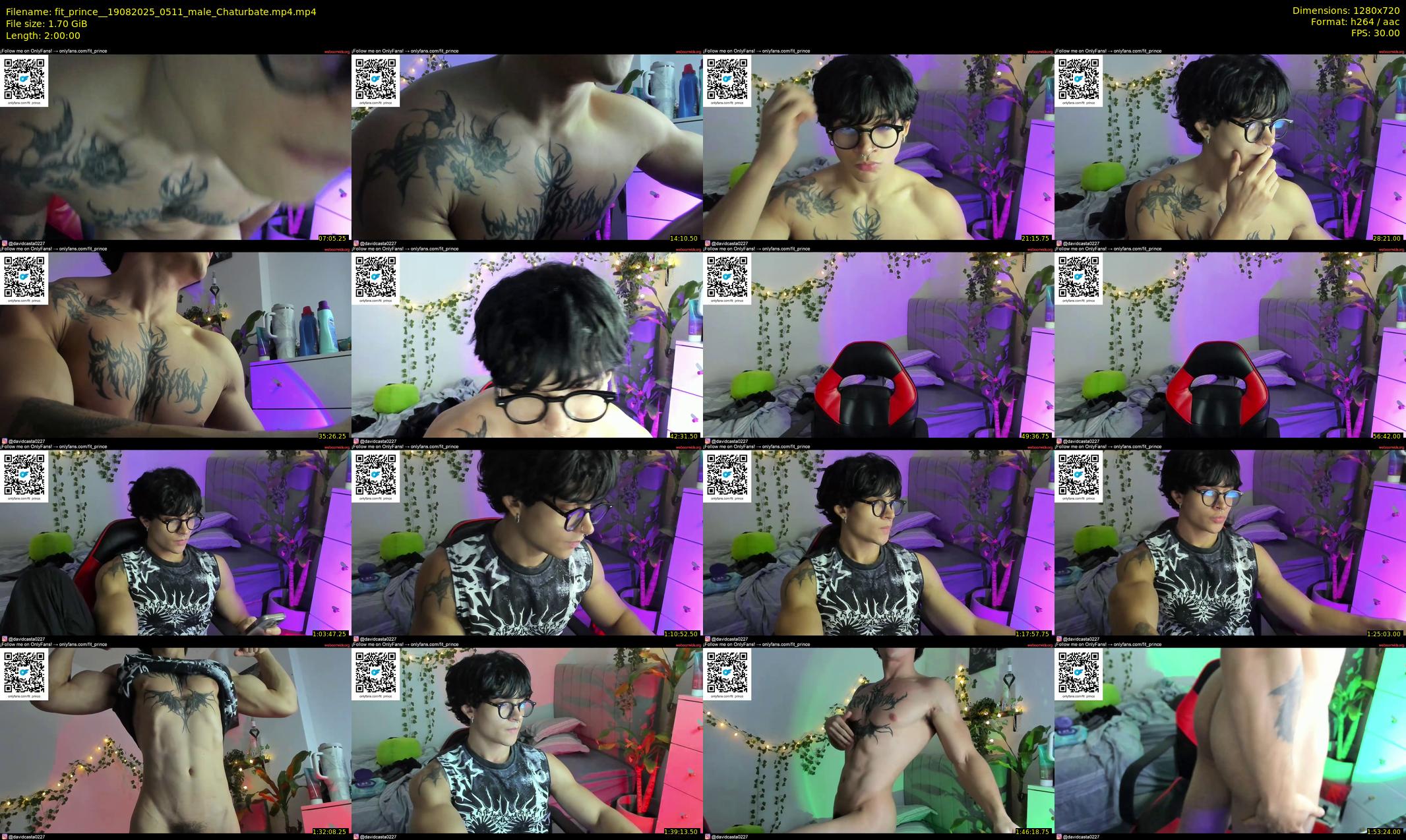 fit_prince_ — 120 minute Chaturbate male cam show recording, 720p, Aug 19, 2025