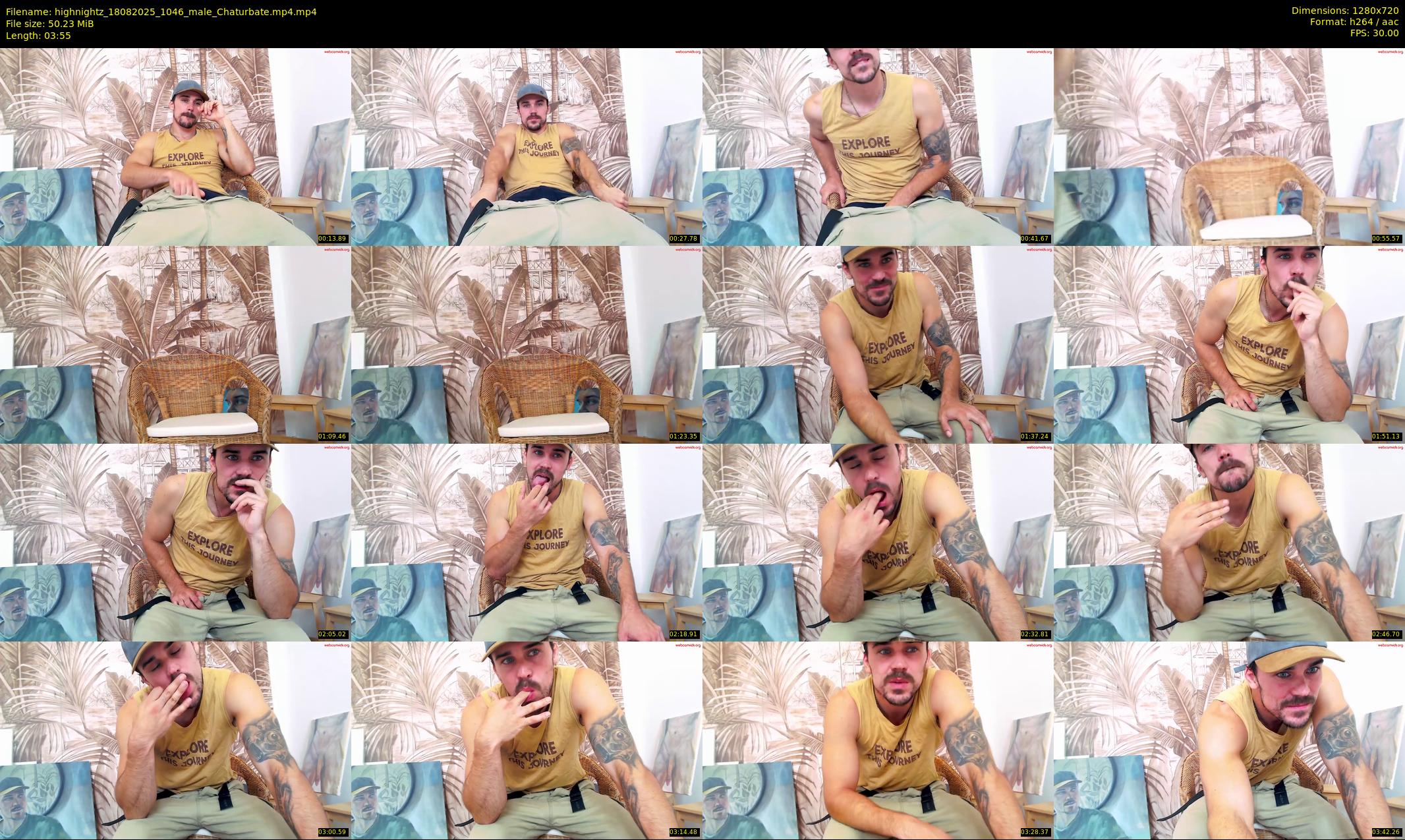 highnightz — 4 minute Chaturbate male cam show recording, 720p, Aug 18, 2025
