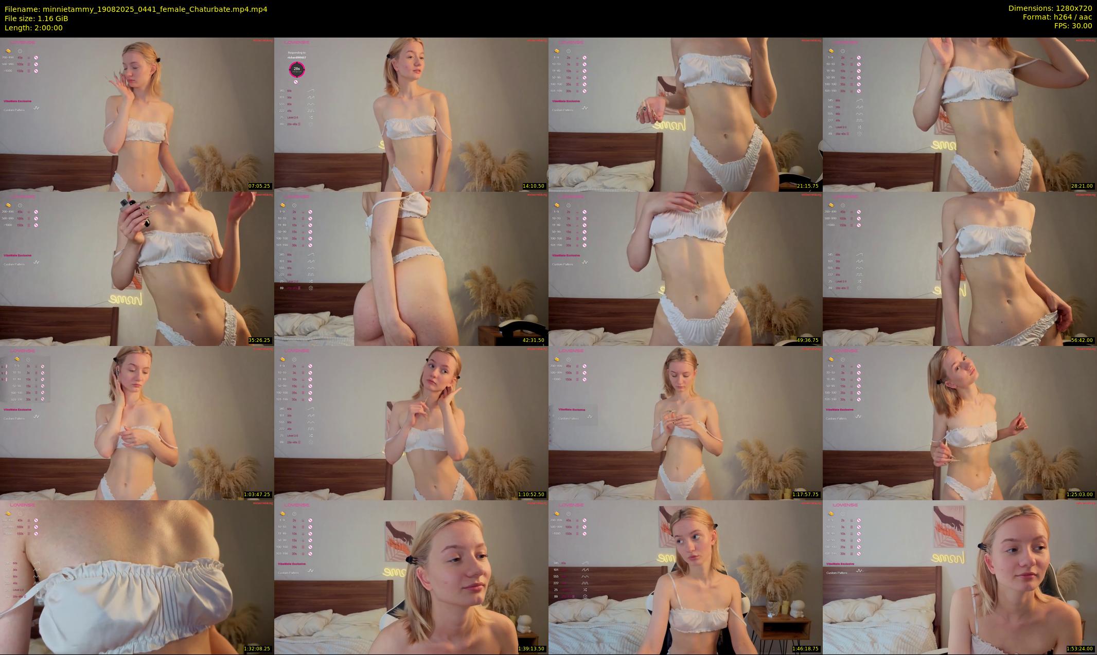 minnietammy — 120 minute Chaturbate female cam show recording, 720p, Aug 19, 2025