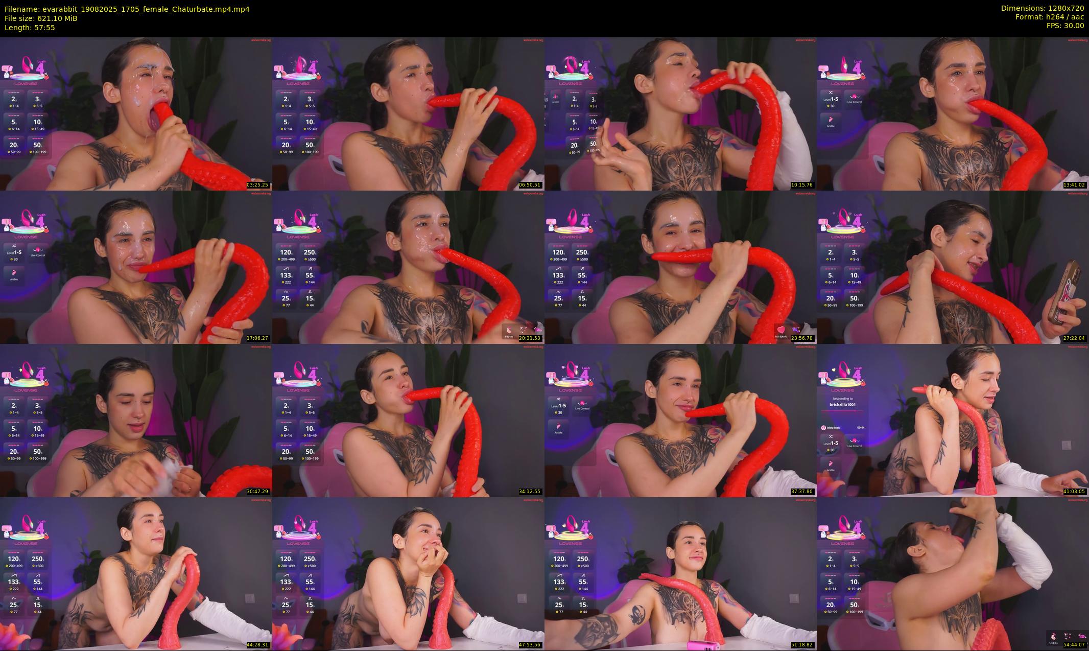 evarabbit — 58 minute Chaturbate female cam show recording, 720p, Aug 19, 2025