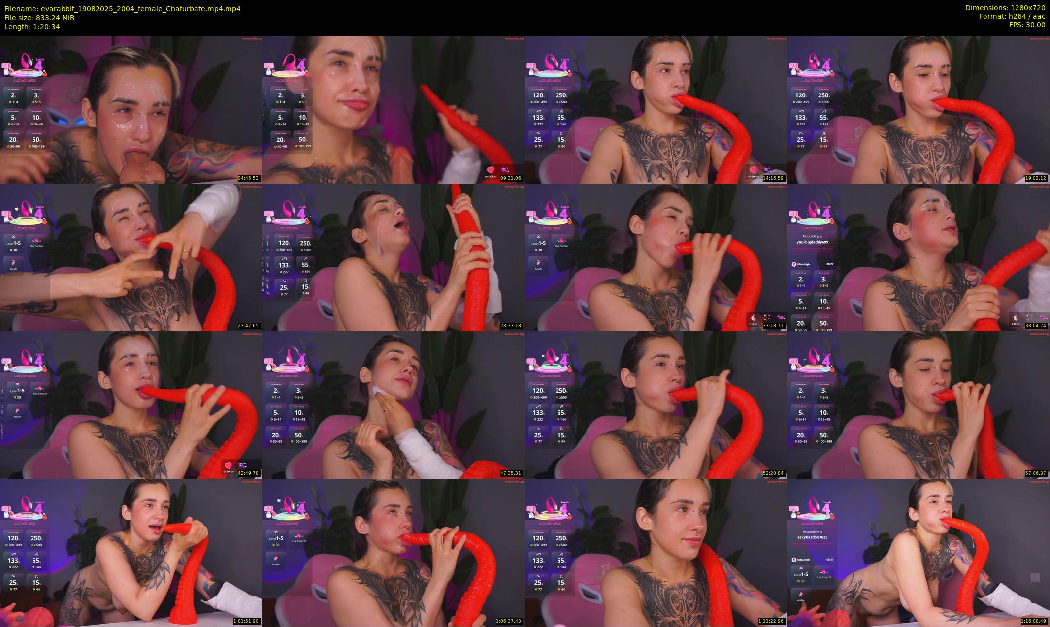 evarabbit — 81 minute Chaturbate female cam show recording, 720p, Aug 19, 2025