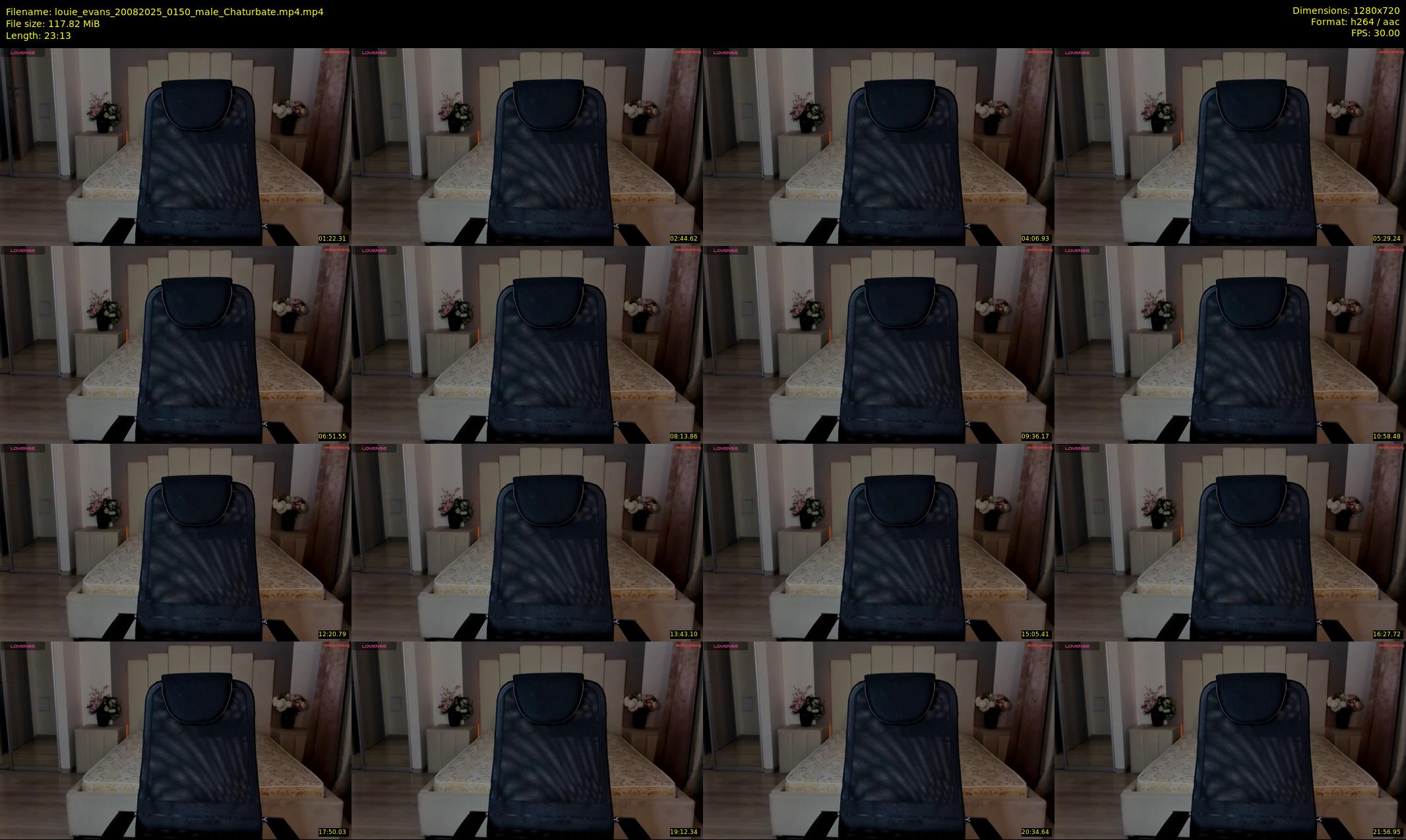 louie_evans — 24 minute Chaturbate male cam show recording, 720p, Aug 20, 2025