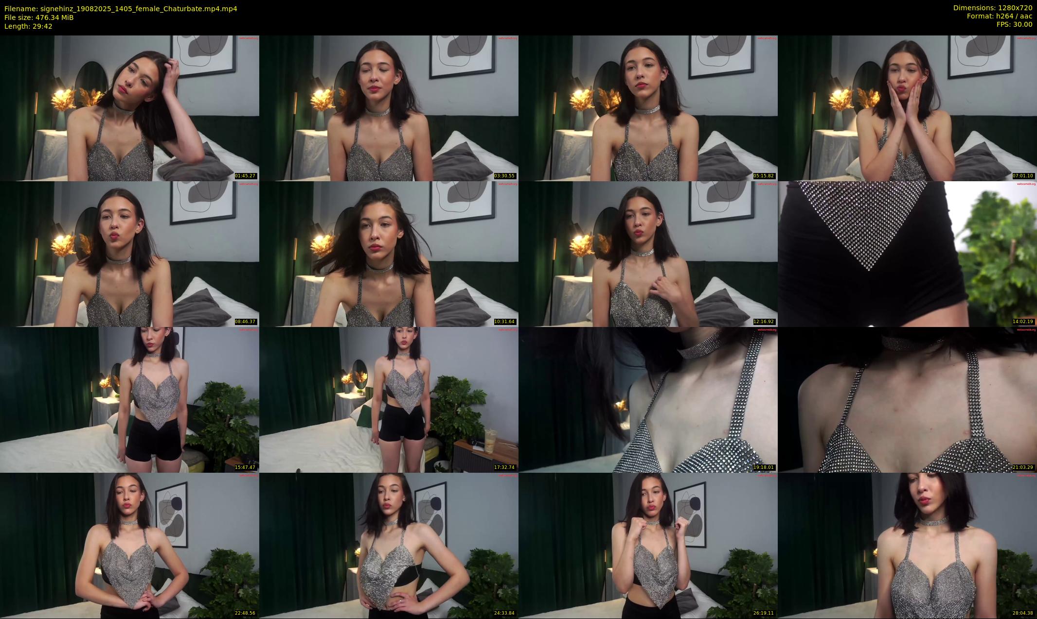 signehinz — 30 minute Chaturbate female cam show recording, 720p, Aug 19, 2025