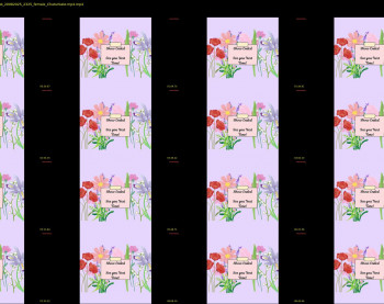 constantcumquest — 10 minute Chaturbate female cam show recording, 720p, Aug 20, 2025