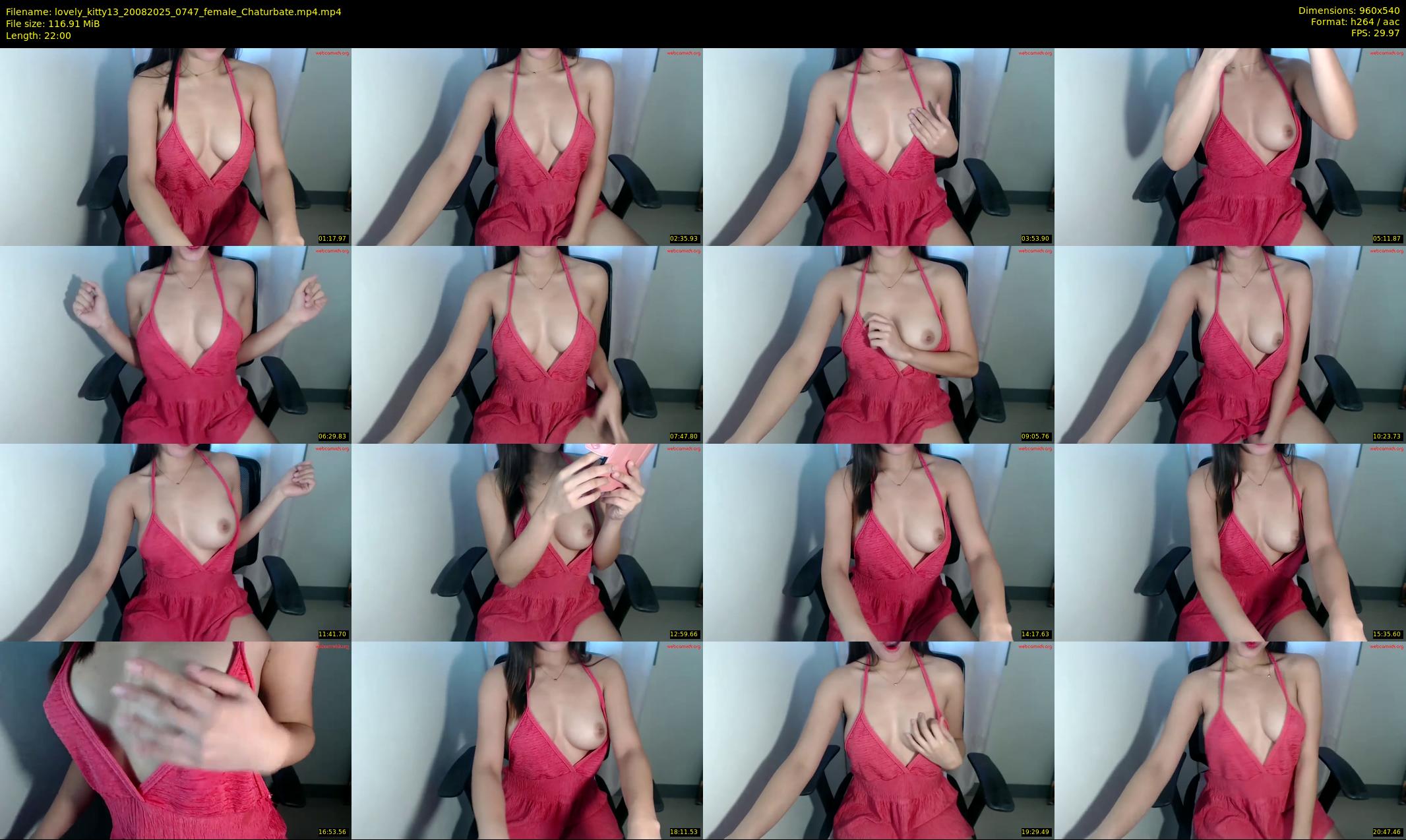 lovely_kitty13 — 22 minute Chaturbate female cam show recording, 480p, Aug 20, 2025