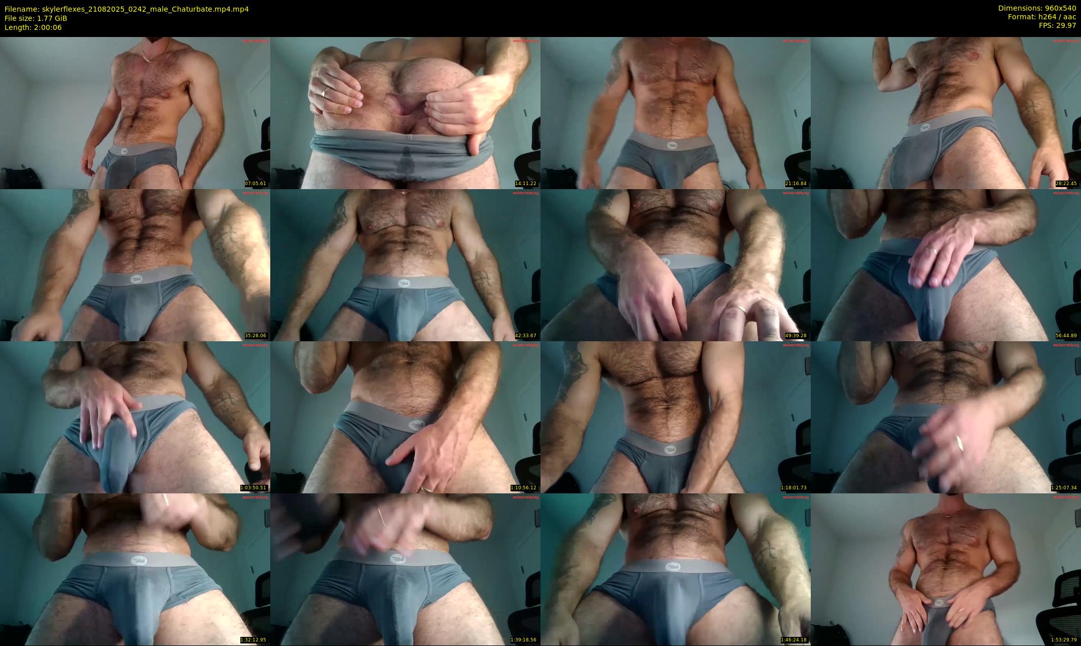 skylerflexes — 121 minute Chaturbate male cam show recording, 480p, Aug 21, 2025
